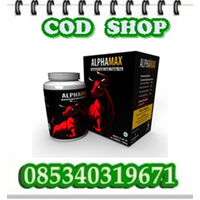 Jual Obat Alphamax Asli Alamat Di Malang 0853430319671 Bisa COD logo