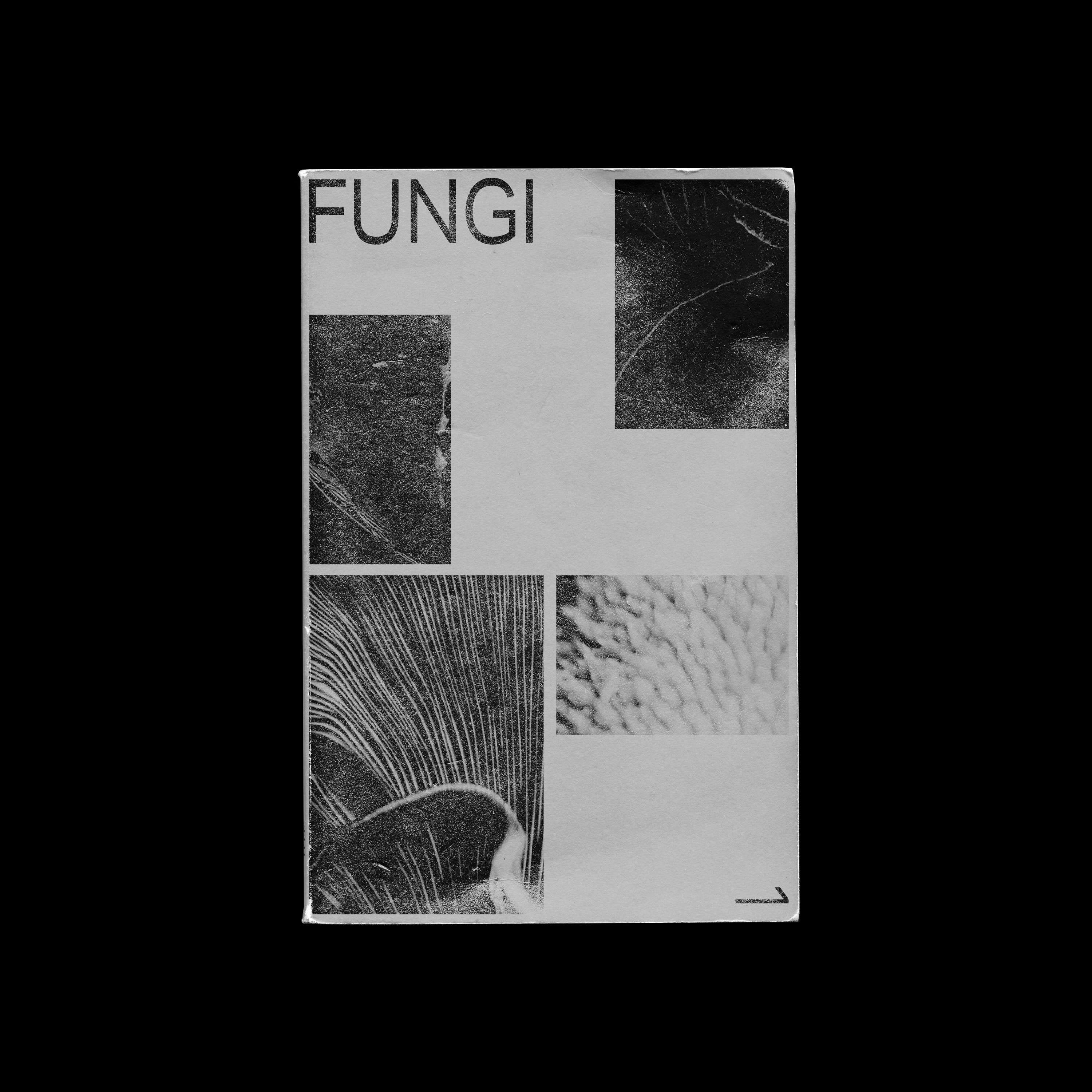 FUNGI by Maria Goad