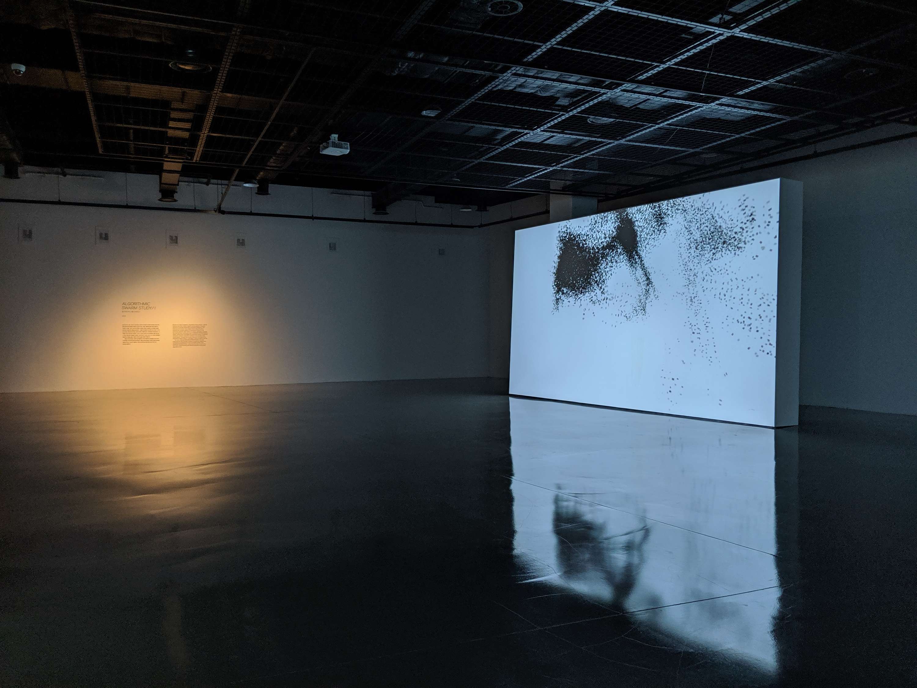Algorithmic Swarm Study I by Random International by Luke Turk