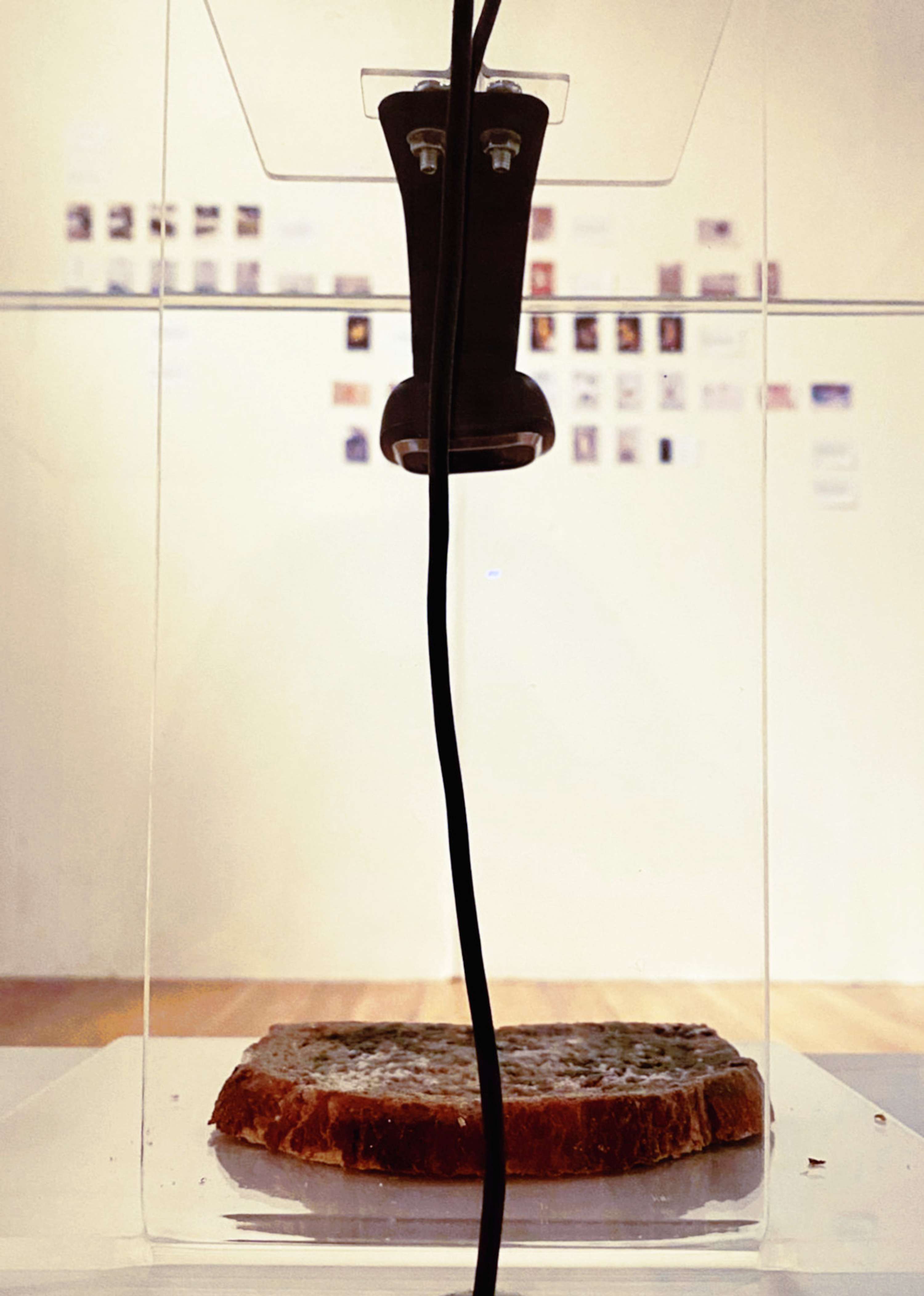 De.Composition by Elisabetta Cuccaro