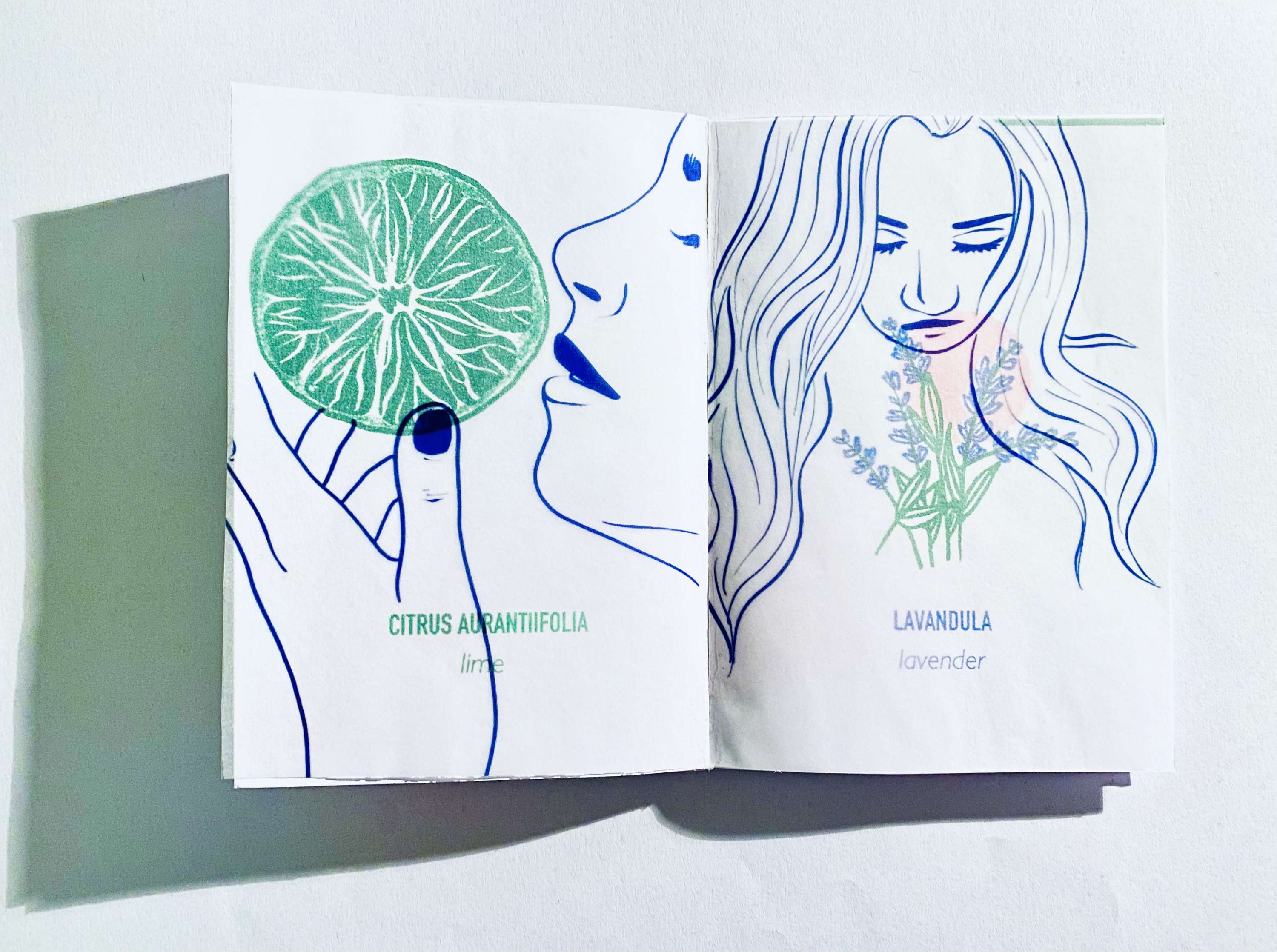Risograph Poster Zines. Collaborative project with The Wellcome Collection Library. by Nika Mamedova