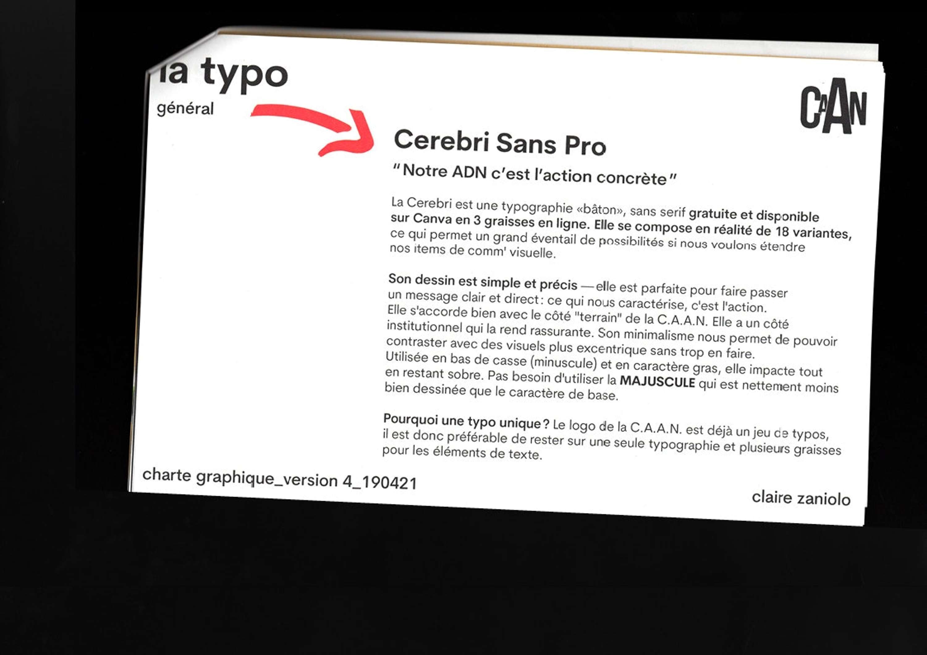 Rebranding of La CAAN organization by Claire Zaniolo