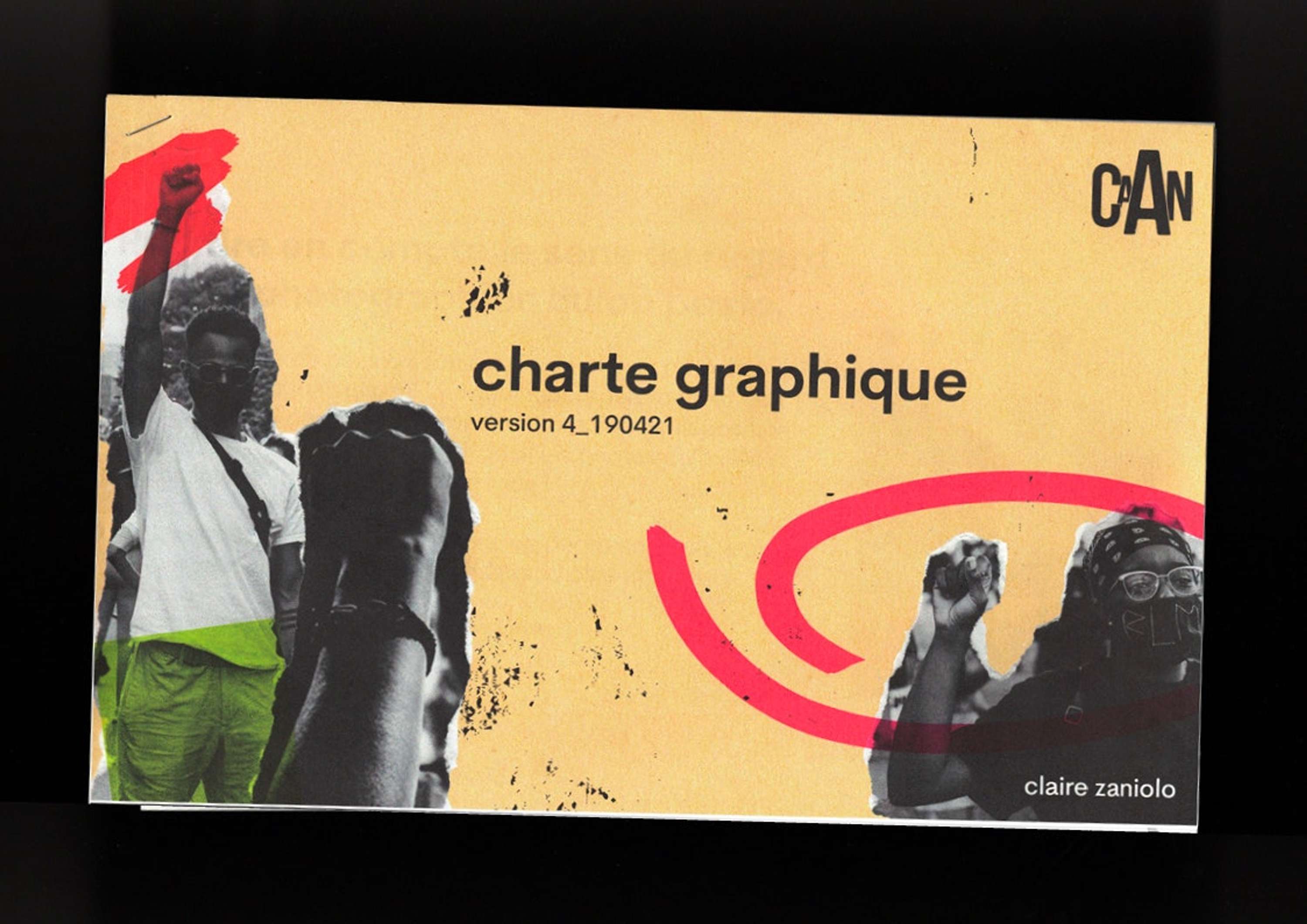 Rebranding of La CAAN organization by Claire Zaniolo