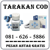 Toko - Jual Obat Kuat Di Tarakan 081222732110 Bisa Cod logo
