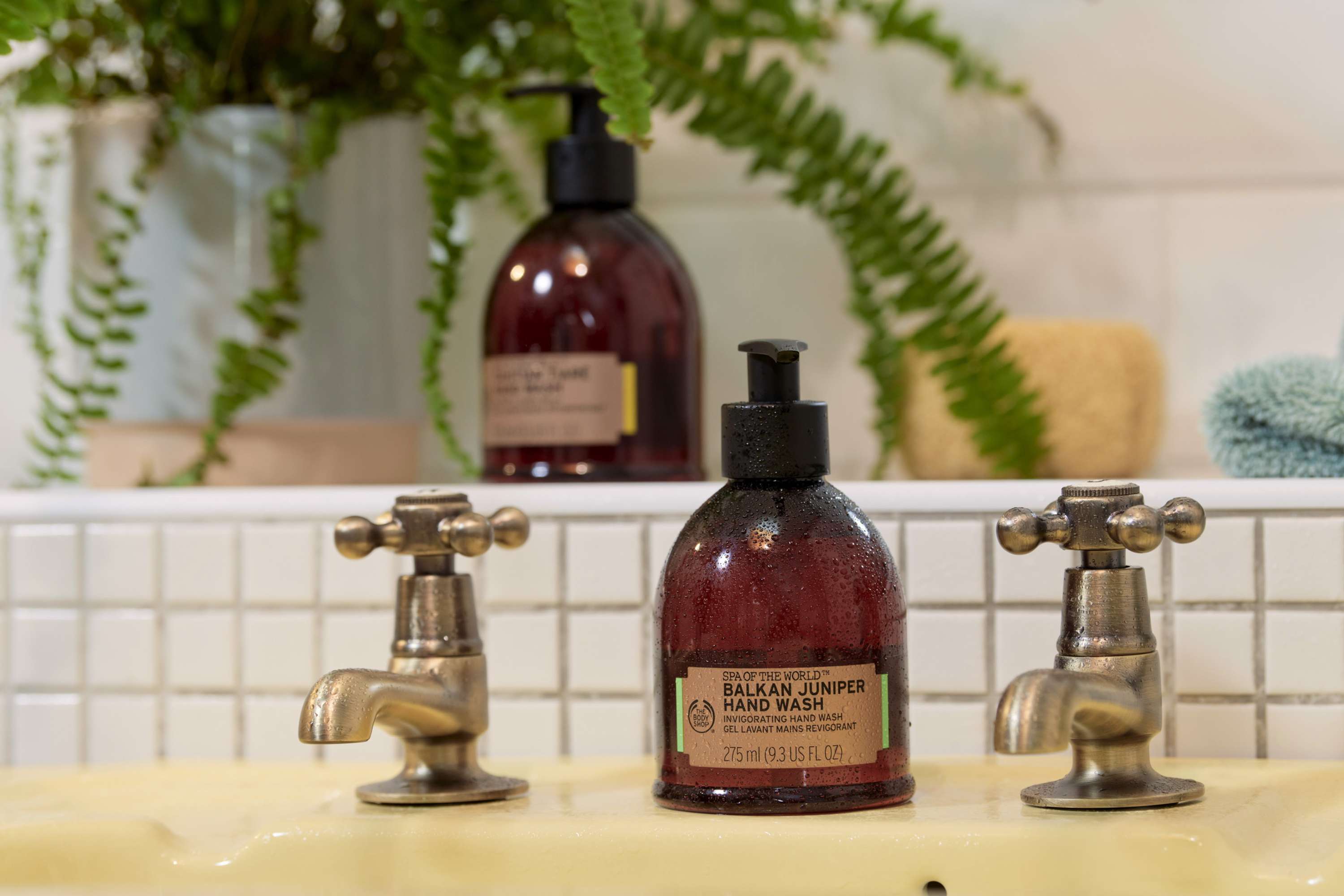 Brand Reju | Web Visual Content by Karrie Fitz