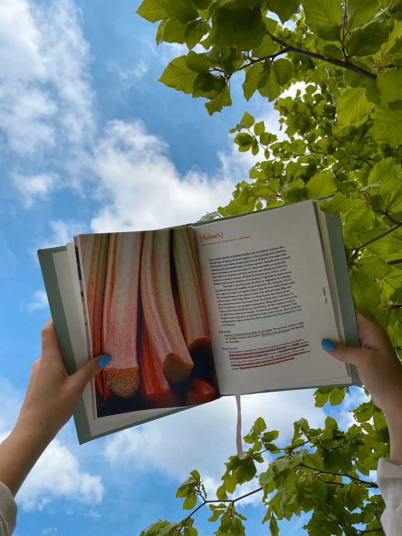 THE HEART OF THE HOME by Sarah Murphy