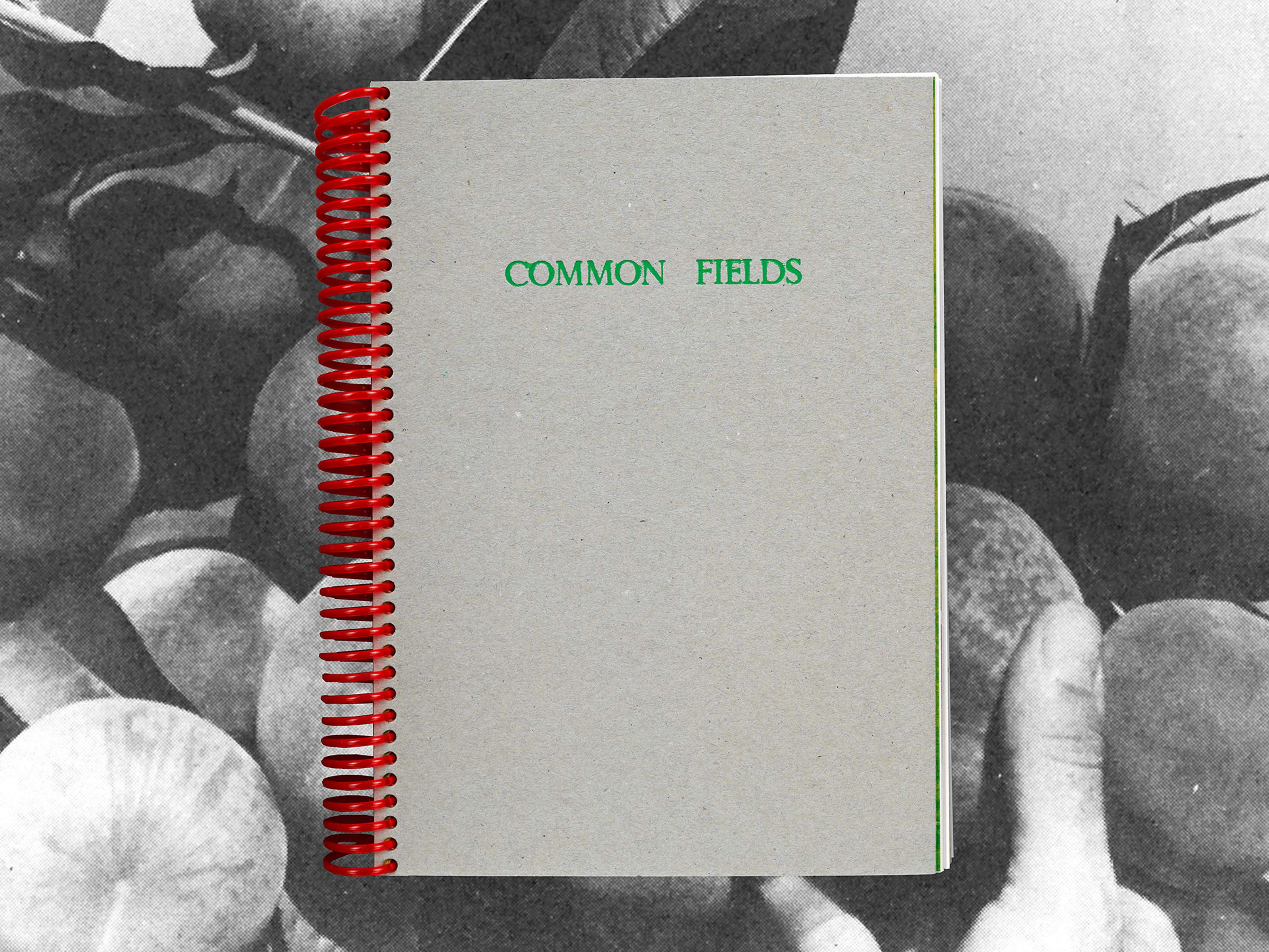 Common Fields by Holly Eliza Temple