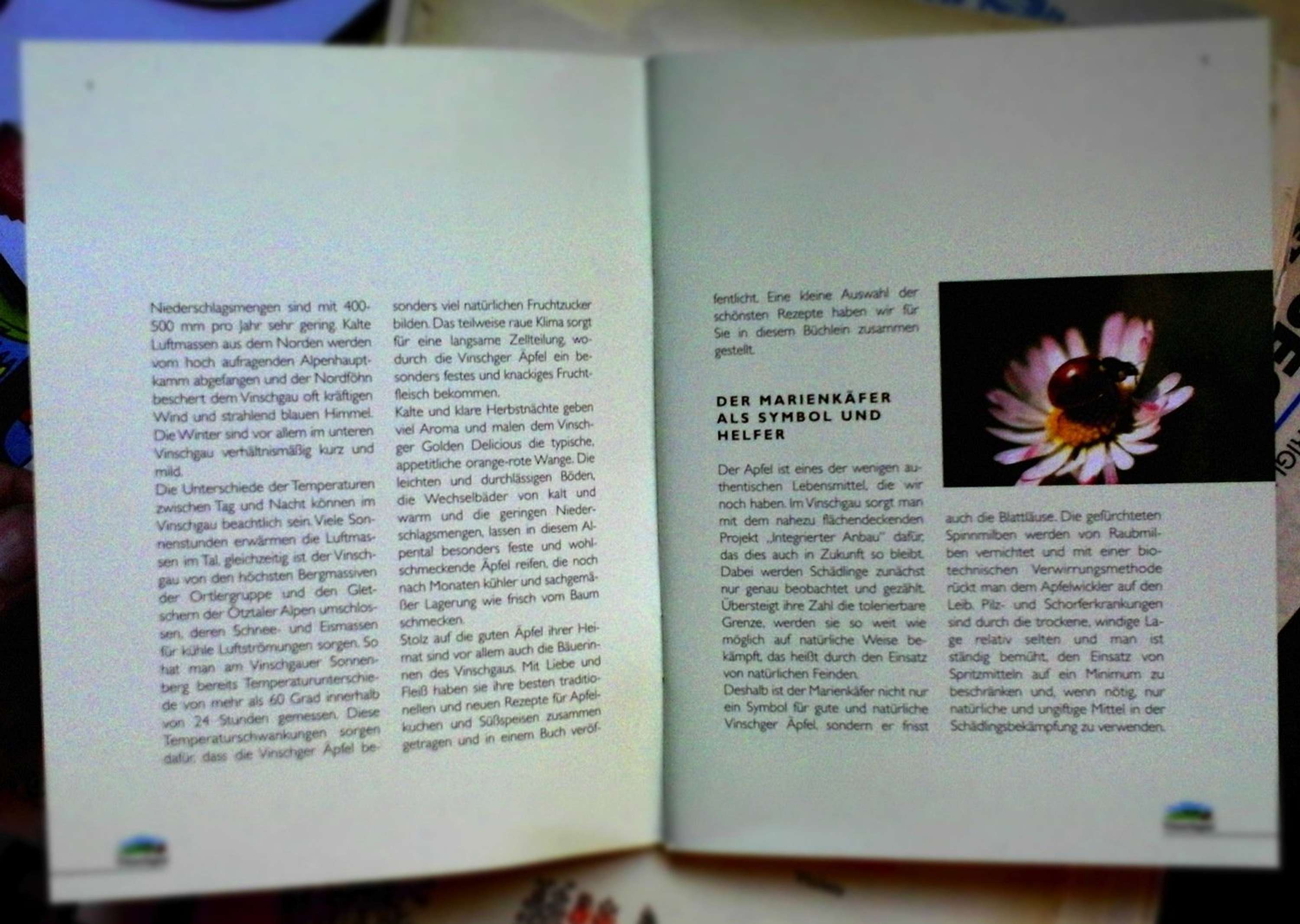 layouts and illustrations by Paolo Paul Mennea