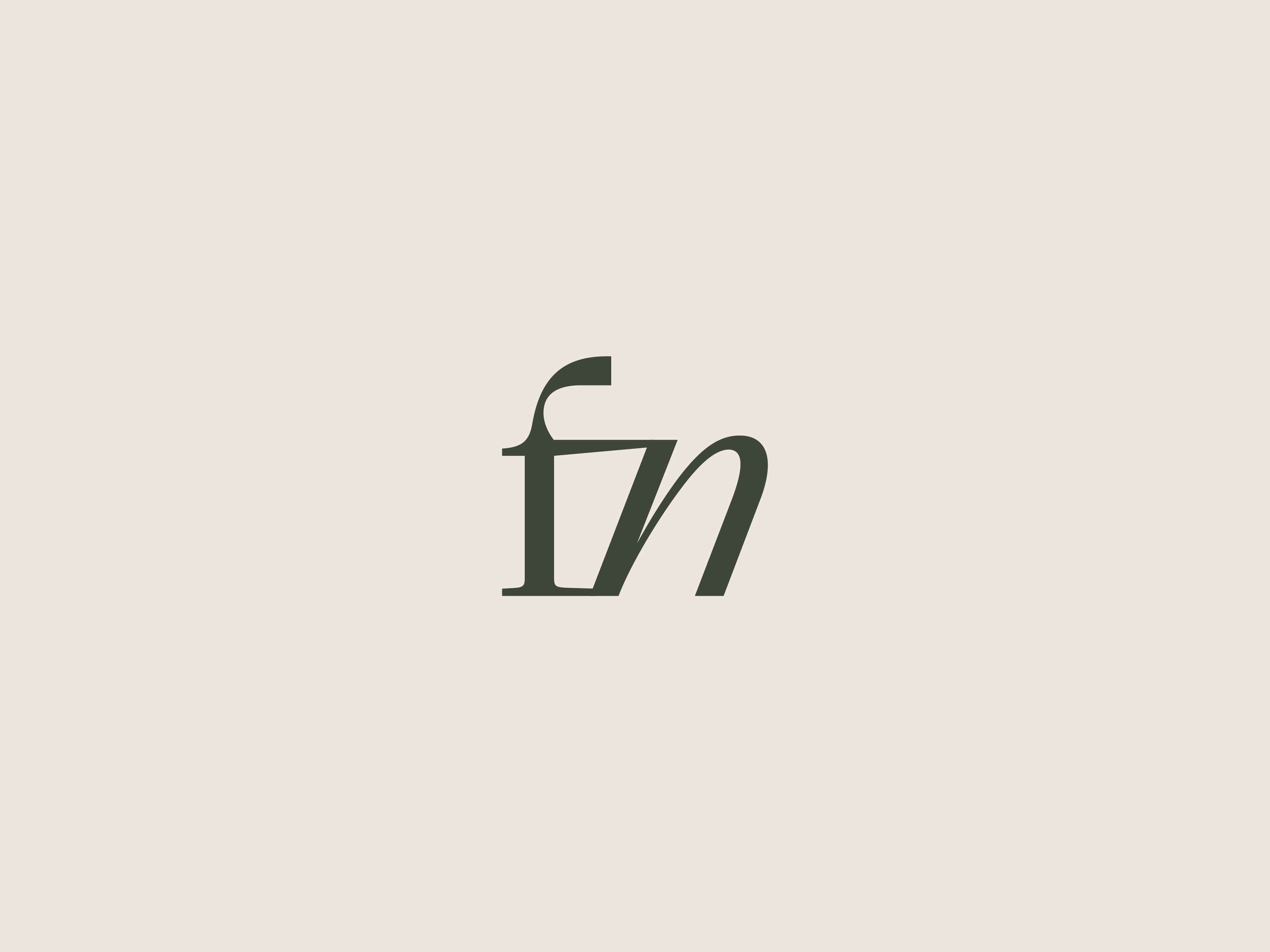 Visual Brand Identity - Futurenorm by Alix Picken