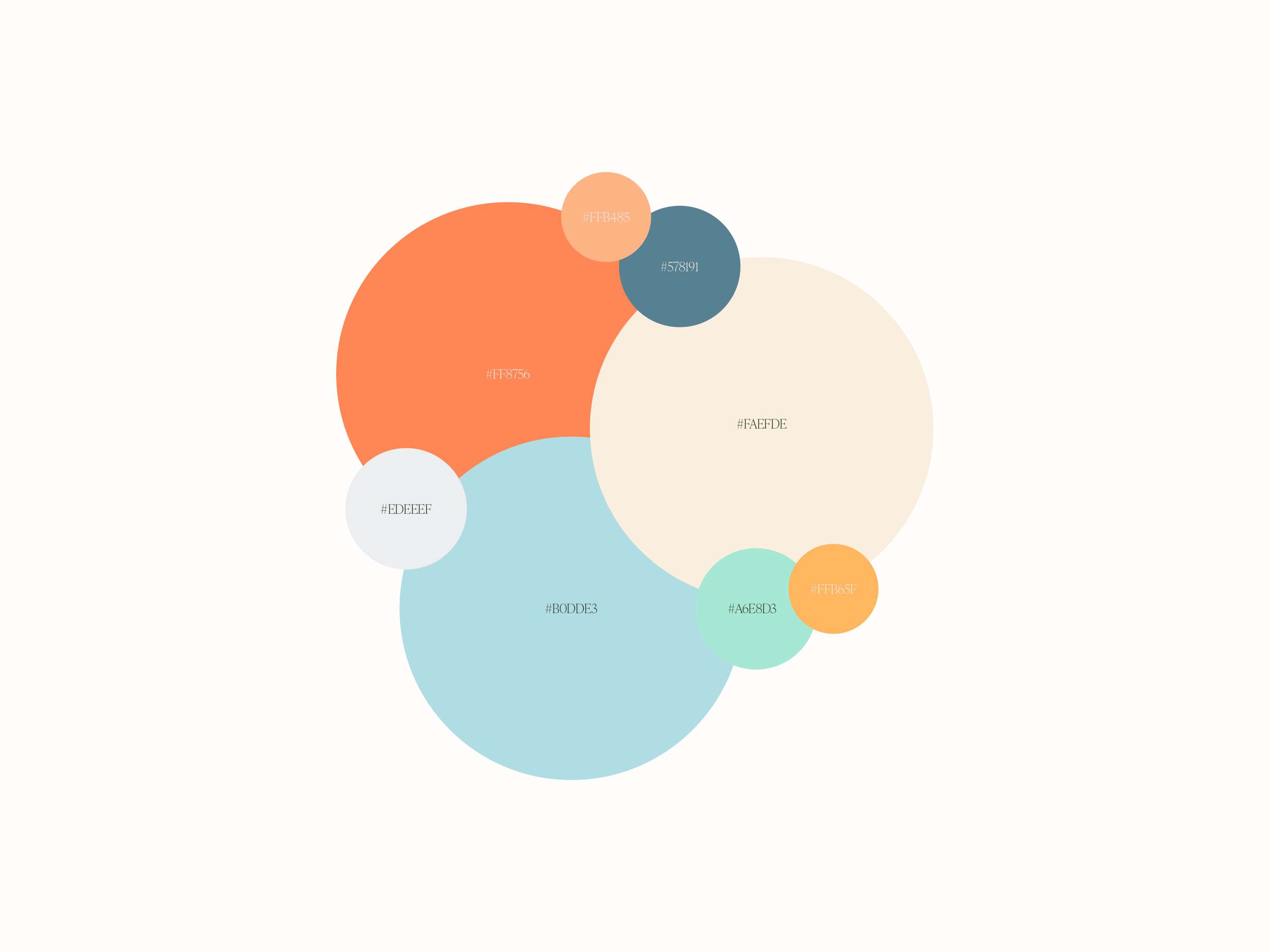 Visual Brand Identity - Bandi by Alix Picken