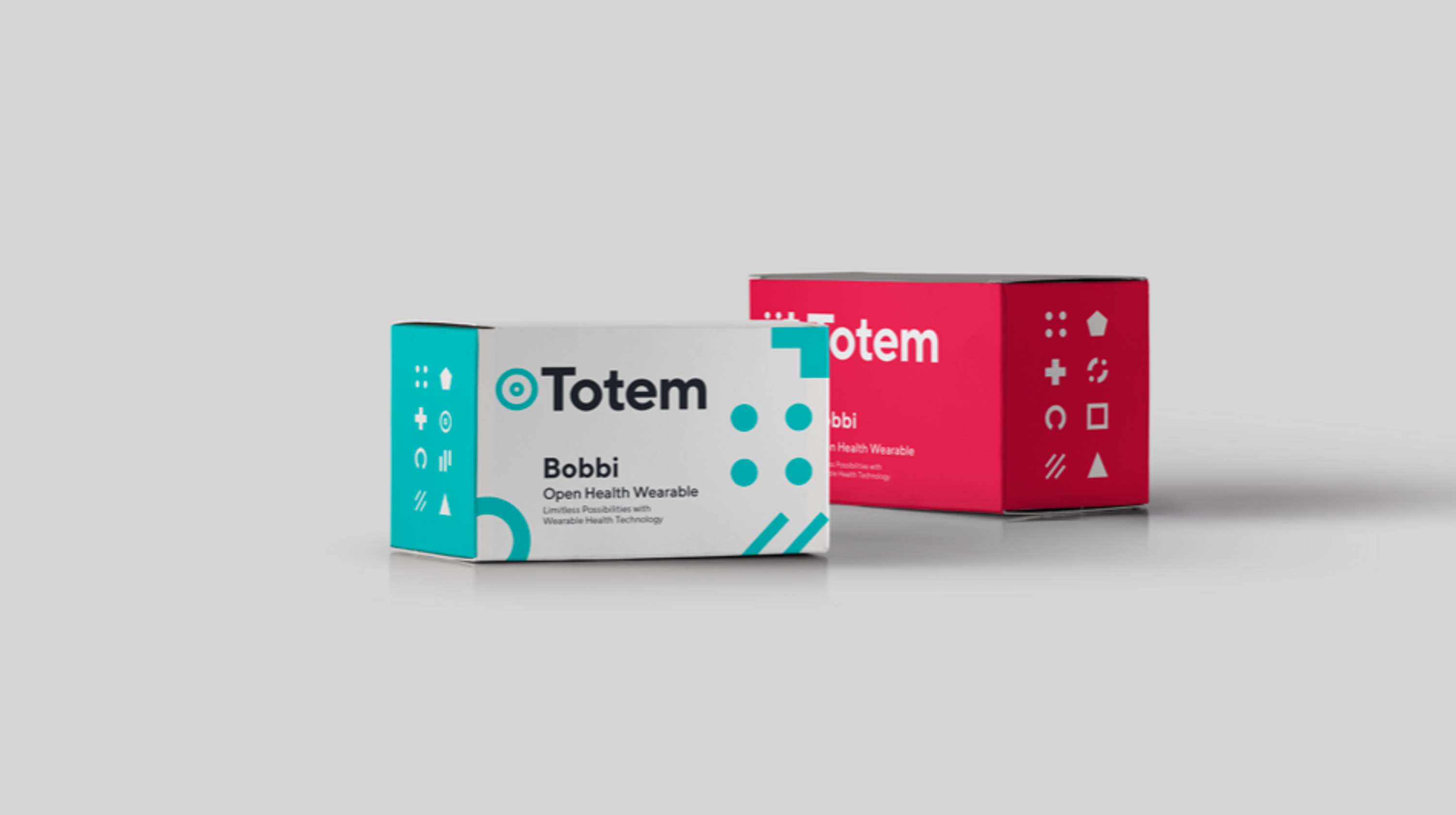 Totem e-health innovation by Jaap van Oirschot