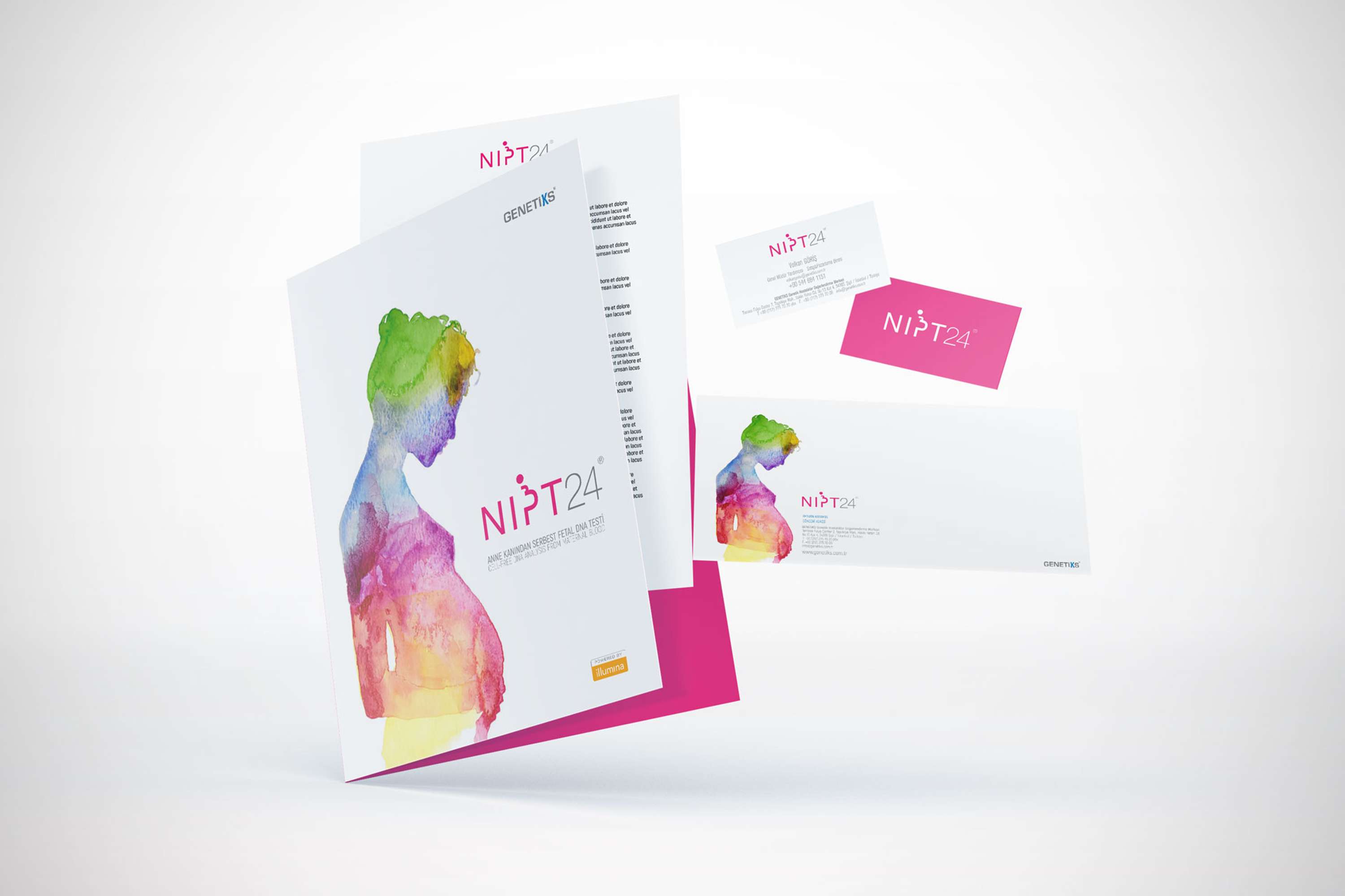 NIPT24 Branding Design and Consultancy by REVOLANDO Independent Creative