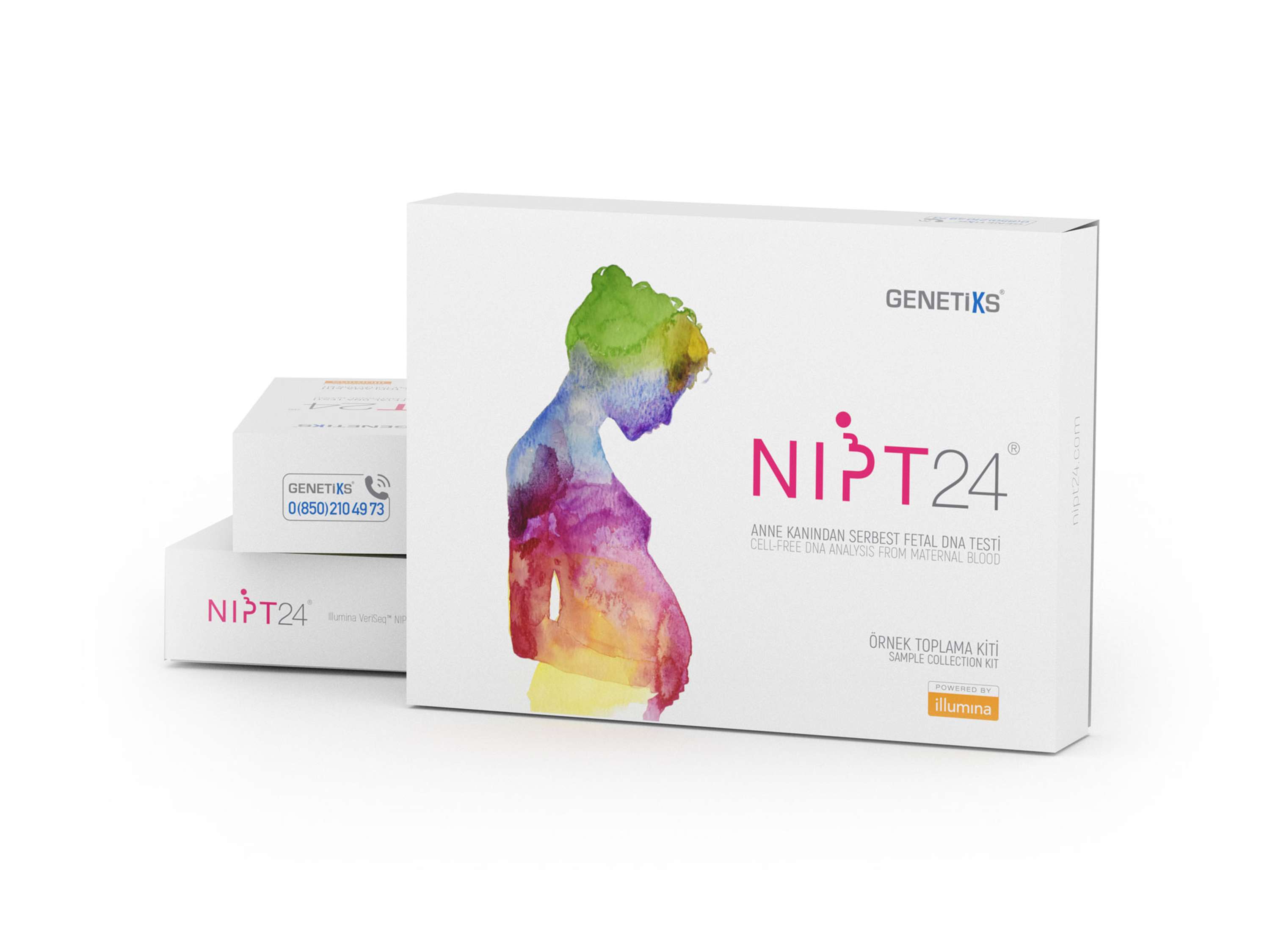 NIPT24 Branding Design and Consultancy by REVOLANDO Independent Creative