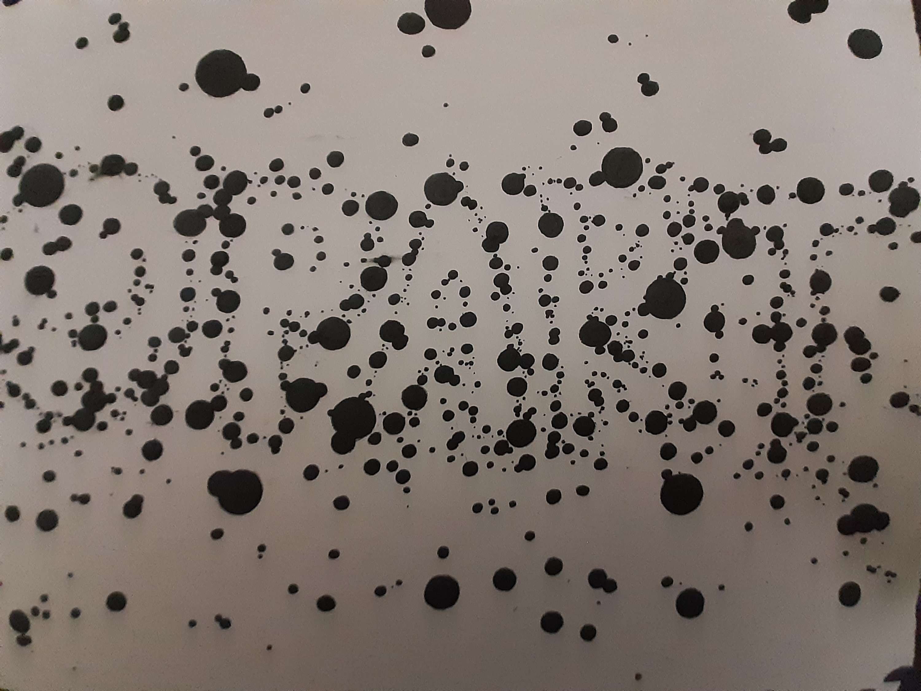 Typography by Rupia Aktar