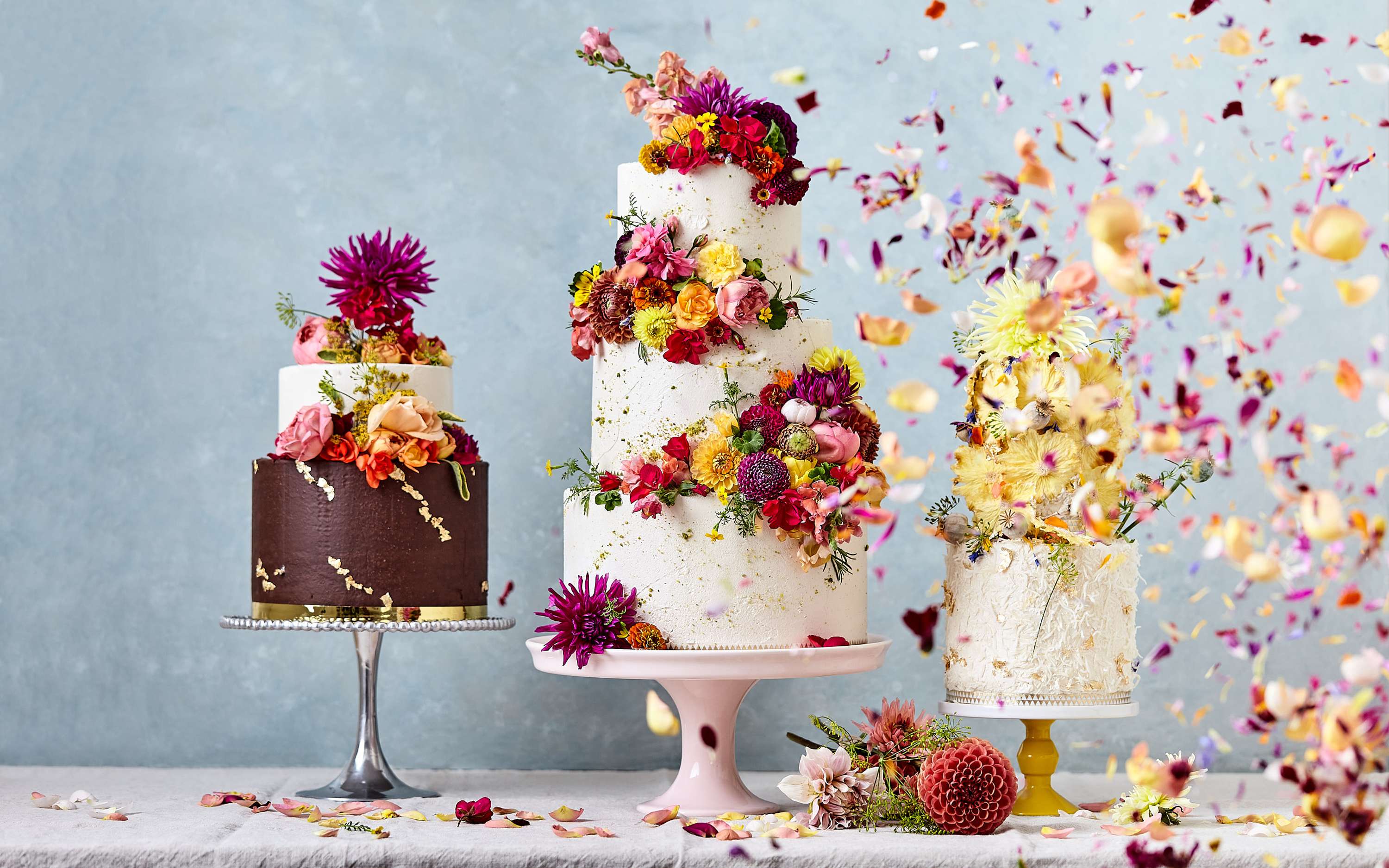 My Little Cake Tin x Ming Tang Evans by Studio PI