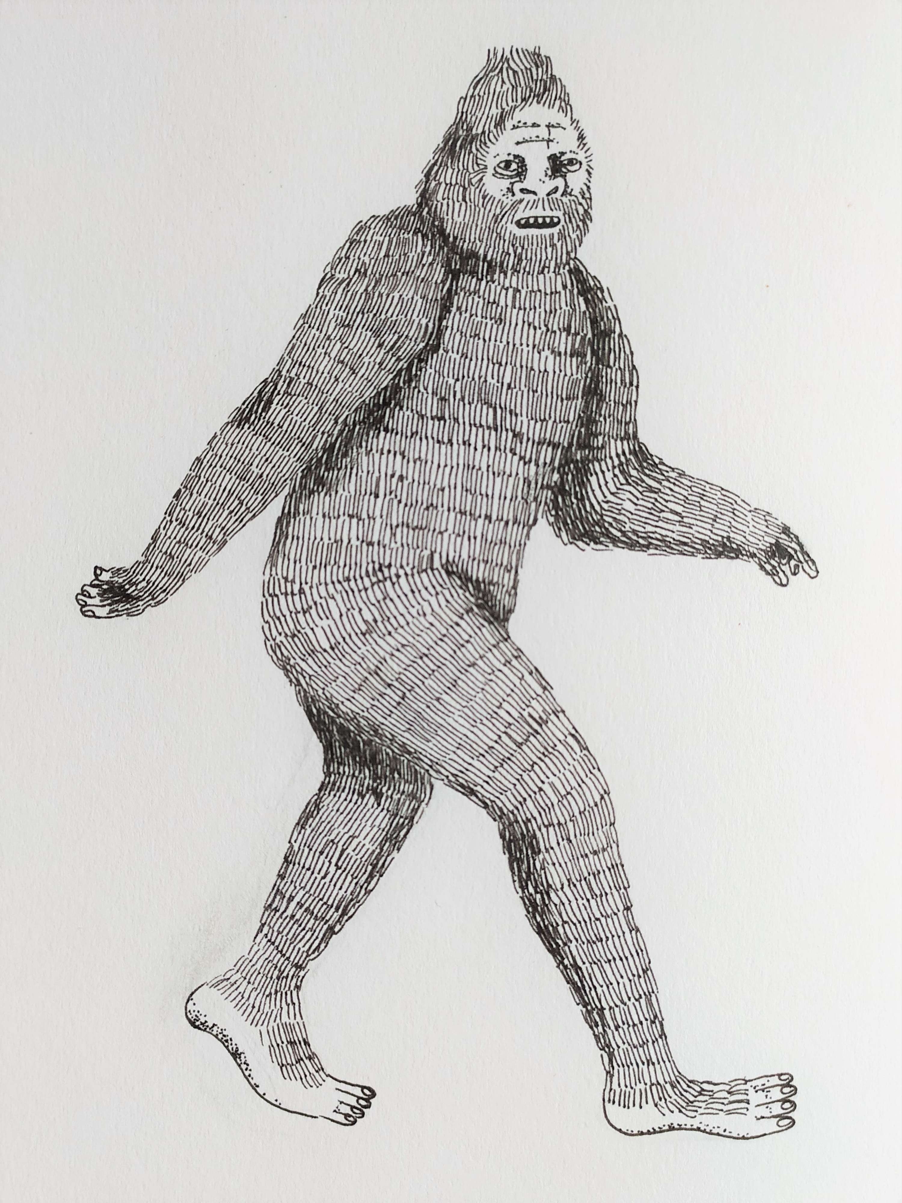 October Cryptids by Elena Hayward