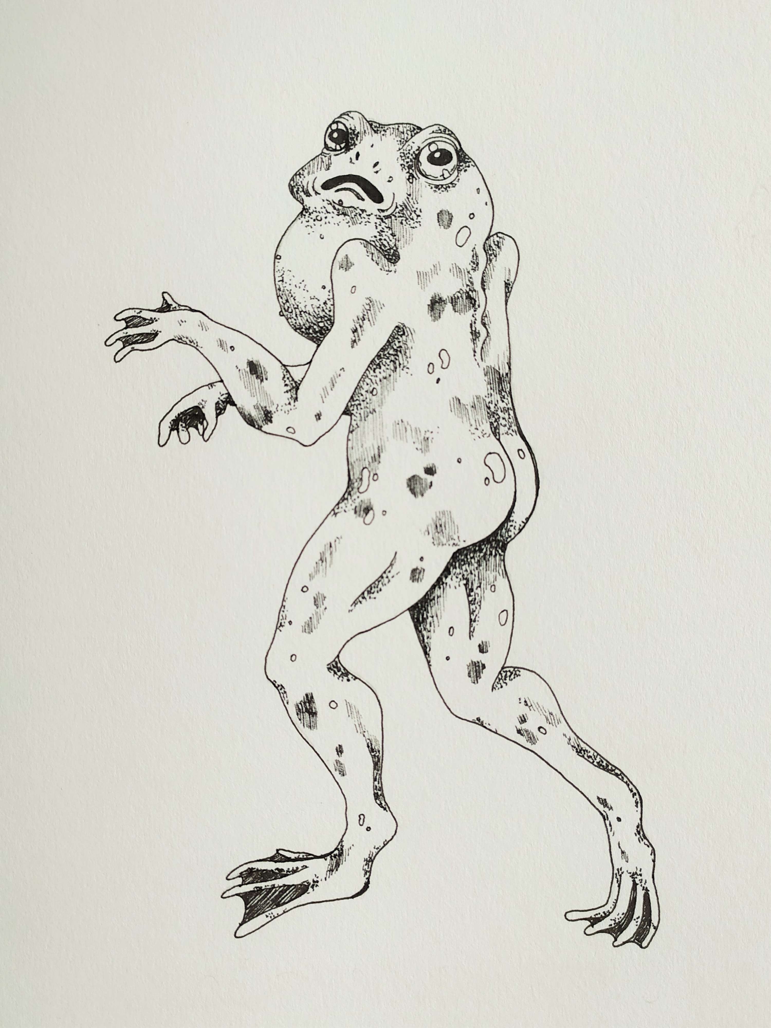 October Cryptids by Elena Hayward