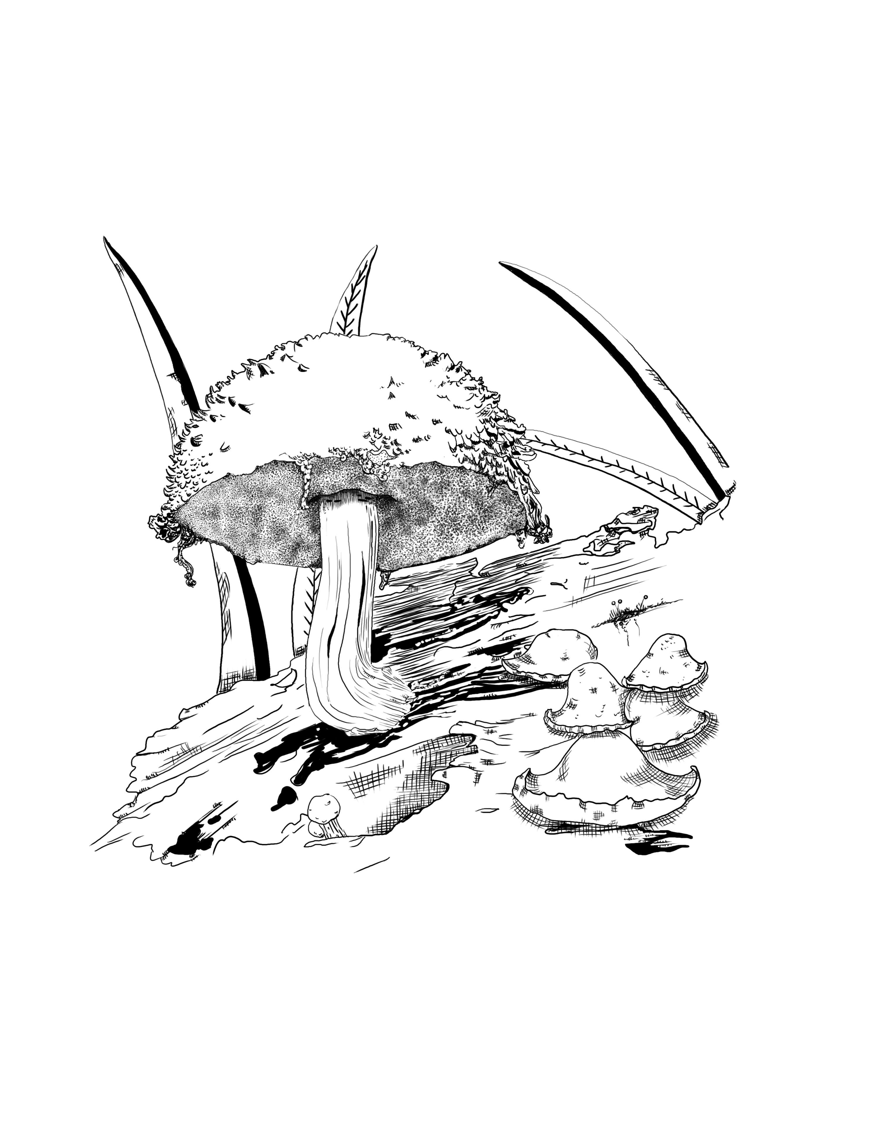 Mushroom Madness by Margarita Rojas Lopez-Abadia