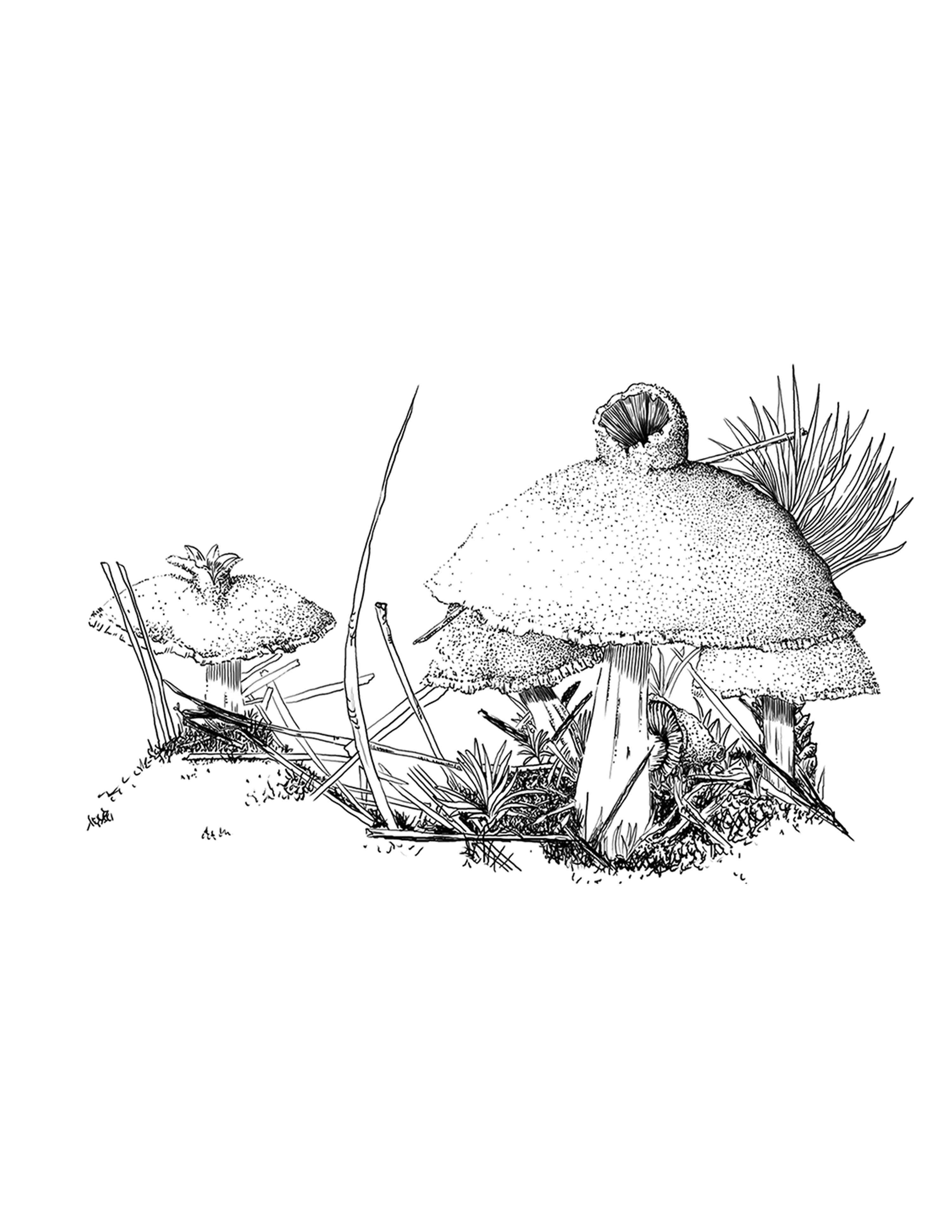 Mushroom Madness by Margarita Rojas Lopez-Abadia