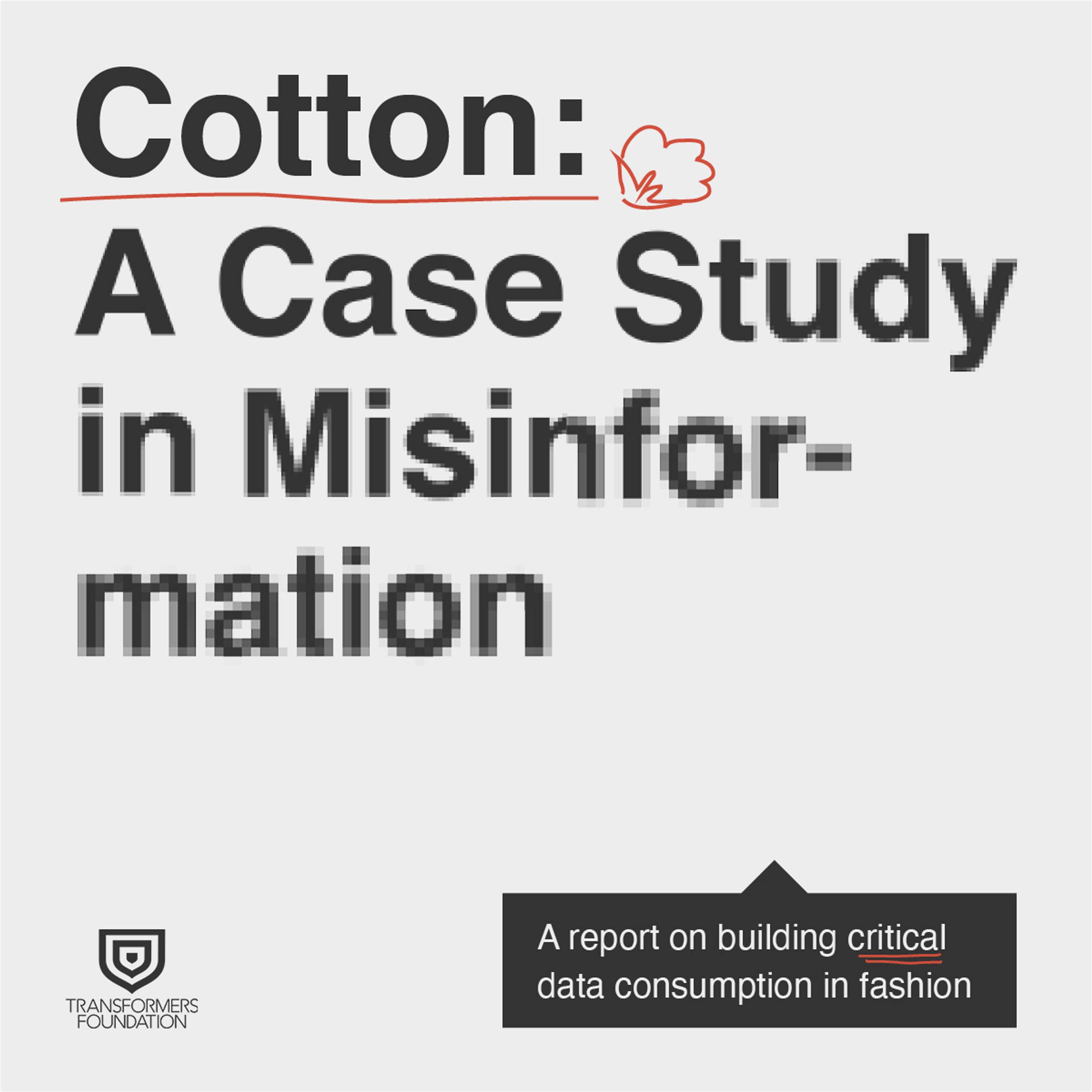 Transformers Foundation: A Case Study on Misinformation by Emily Sear