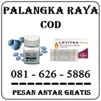 Agen Farmasi - Jual Obat Viagra Di Palangkaraya 0816265886 logo