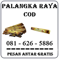 Agen Farmasi - Jual Permen Soloco Di Palangkaraya 0816265886 logo