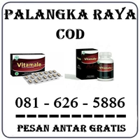 Agen Farmasi - Jual Obat Vitamale Di Palangkaraya 0816265886 logo