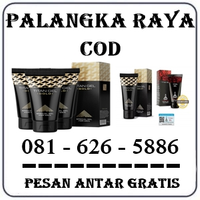 Agen Farmasi - Jual Titan Gel Di Palangkaraya 0816265886 logo
