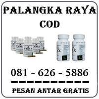 Agen Farmasi - Jual Obat Vimax Di Palangkaraya 0816265886 logo