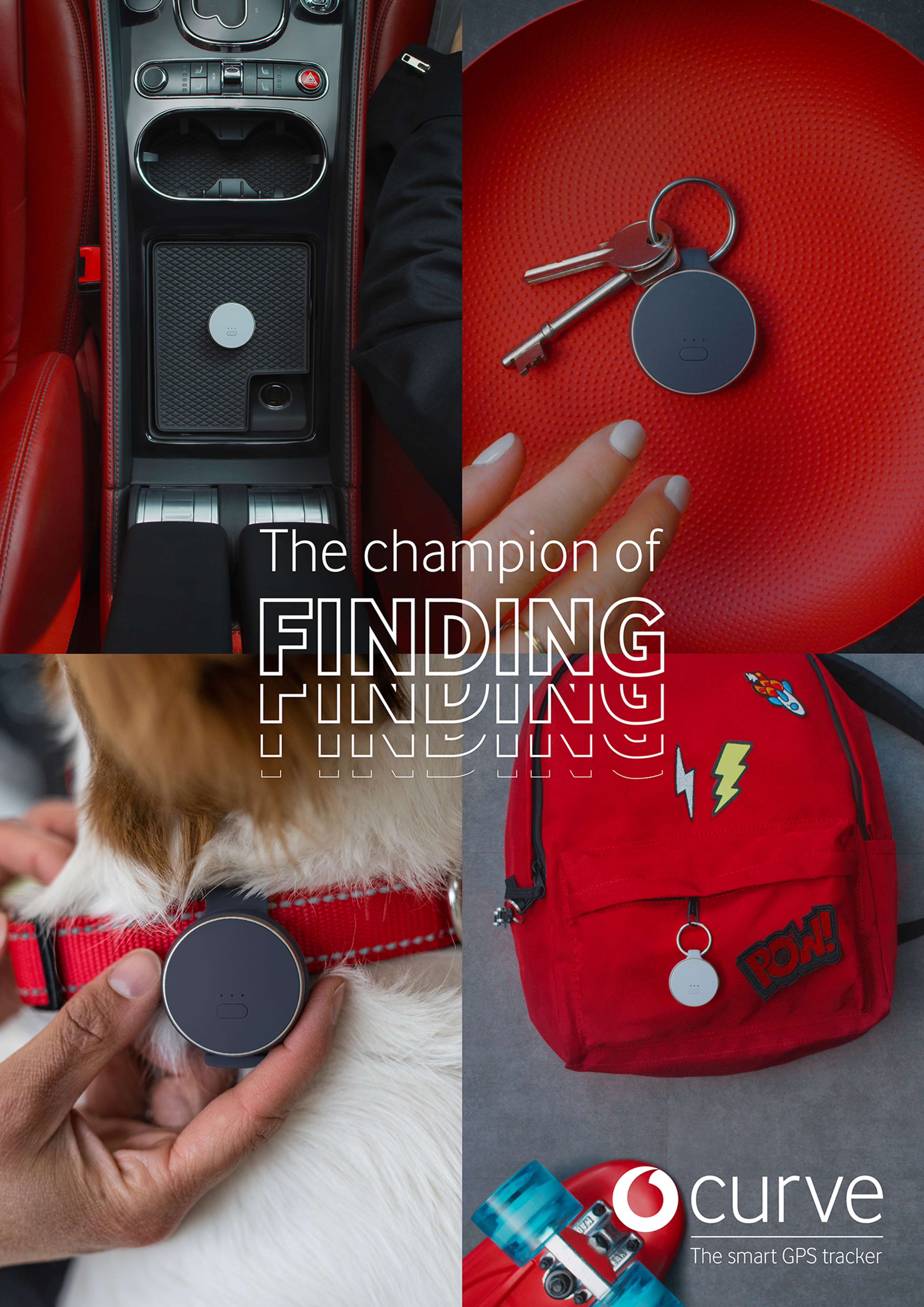 The Champion of Finding by Neill Furmston