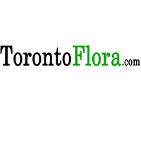 Toronto Flora logo