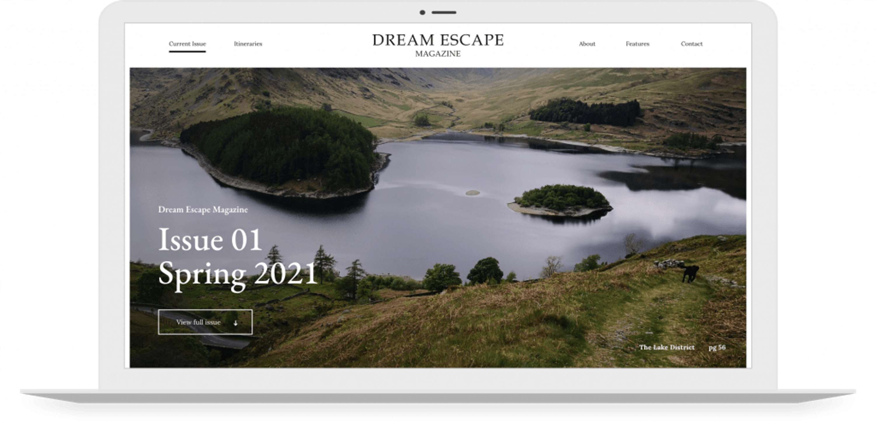 Website Design and Build by Andres Del Risco