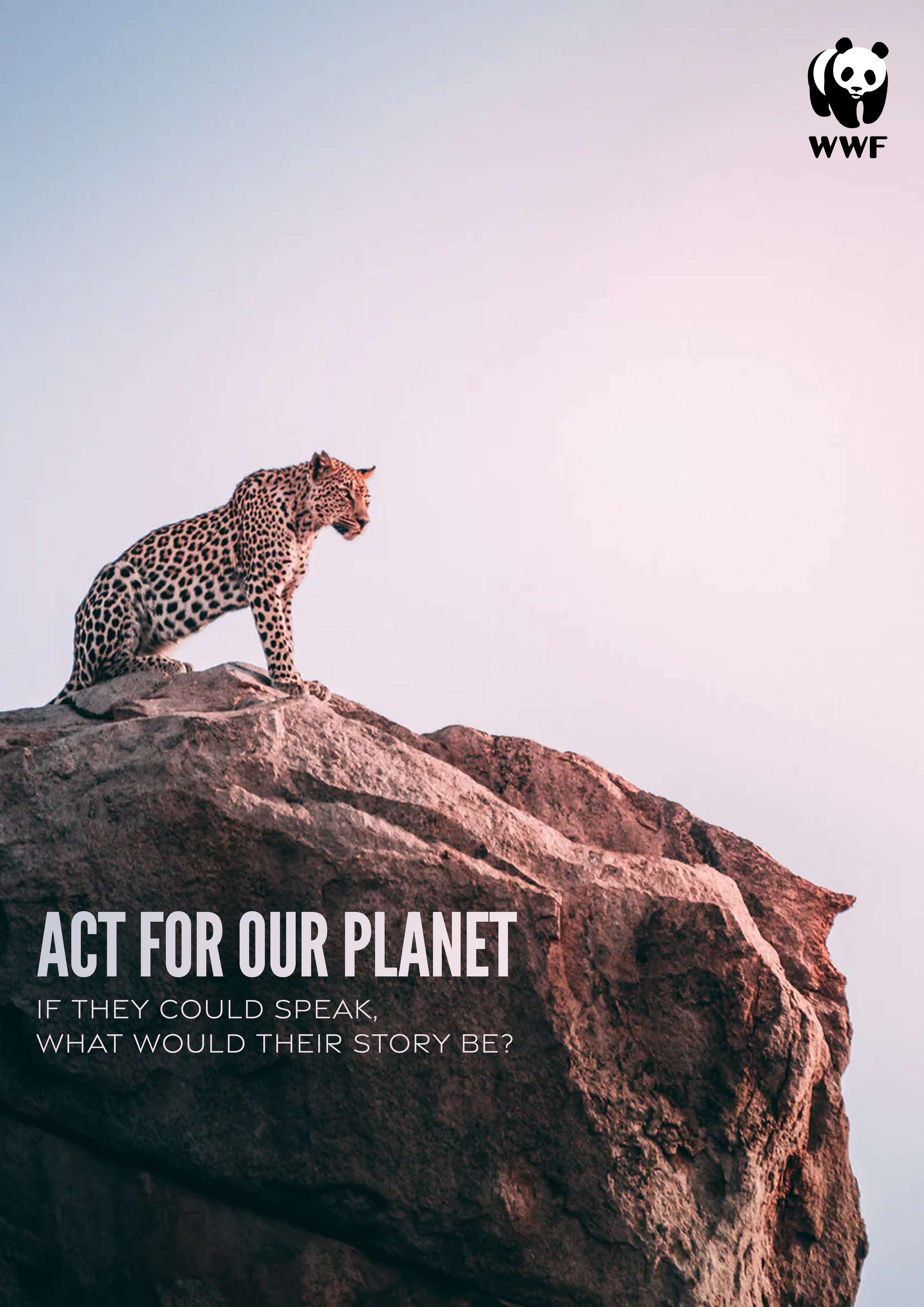 WWF by Charlie Smith