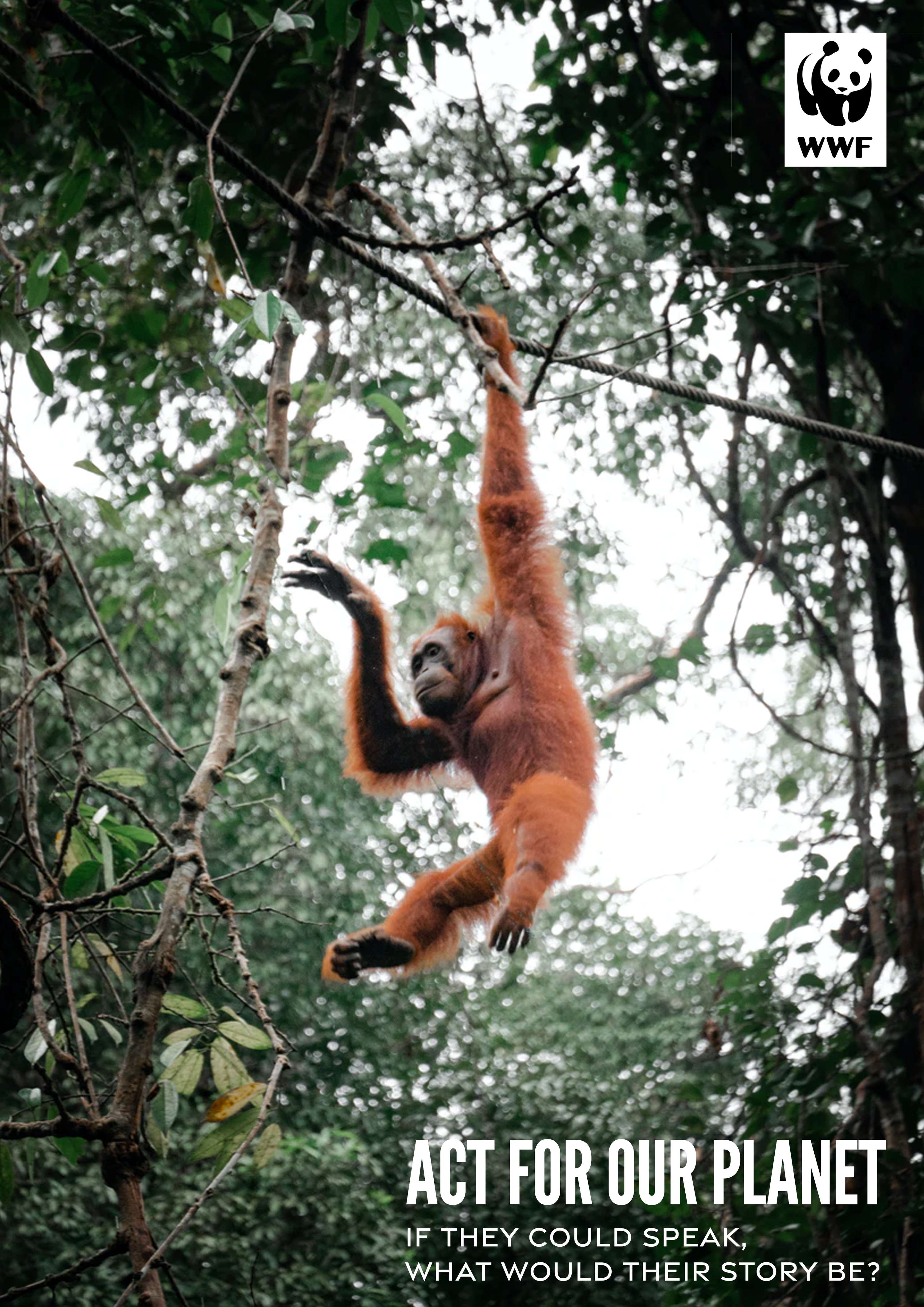 WWF - Act for our planet by William Norton