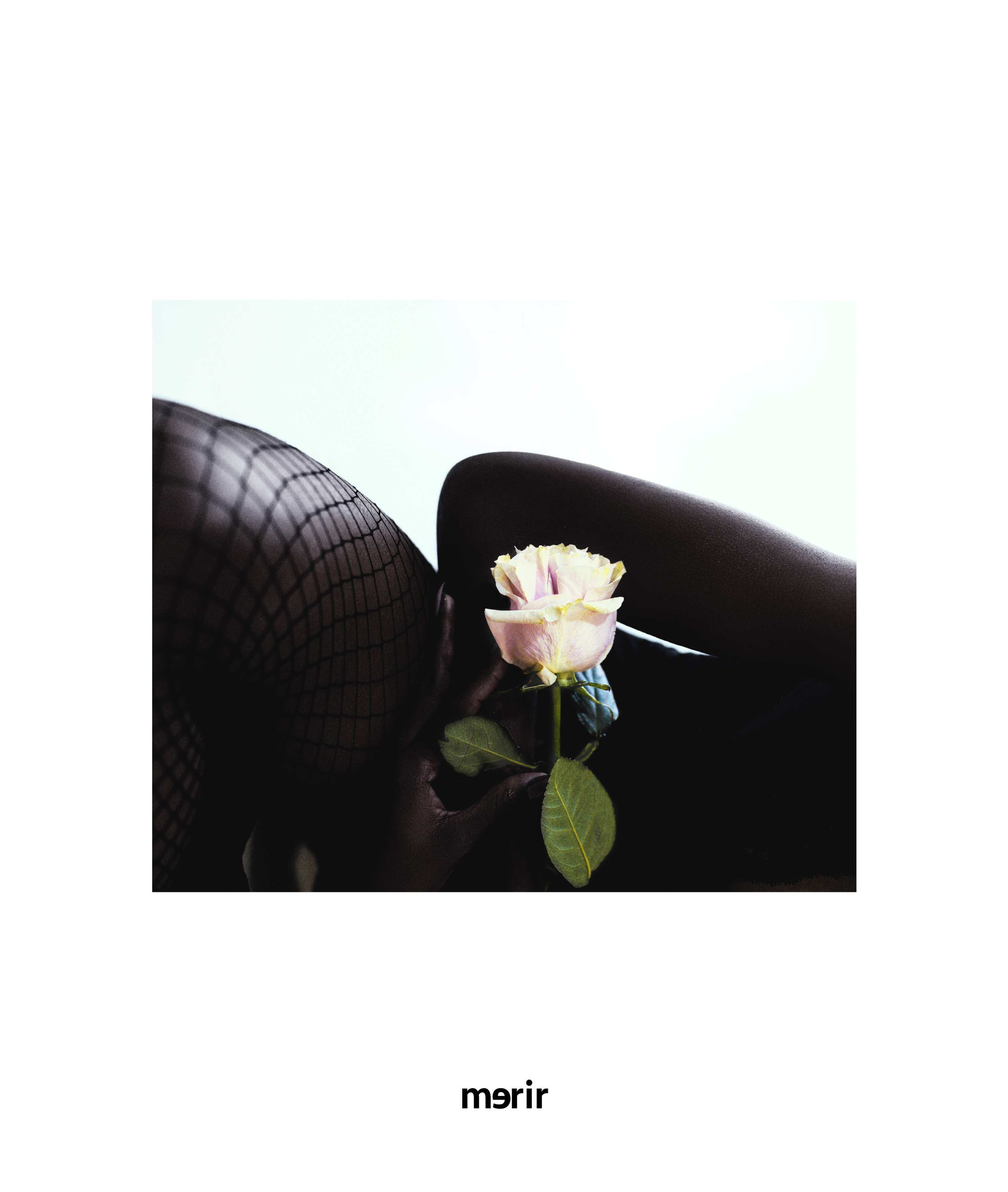 Inverted bloom for merir online by Michael Stuart-Daley
