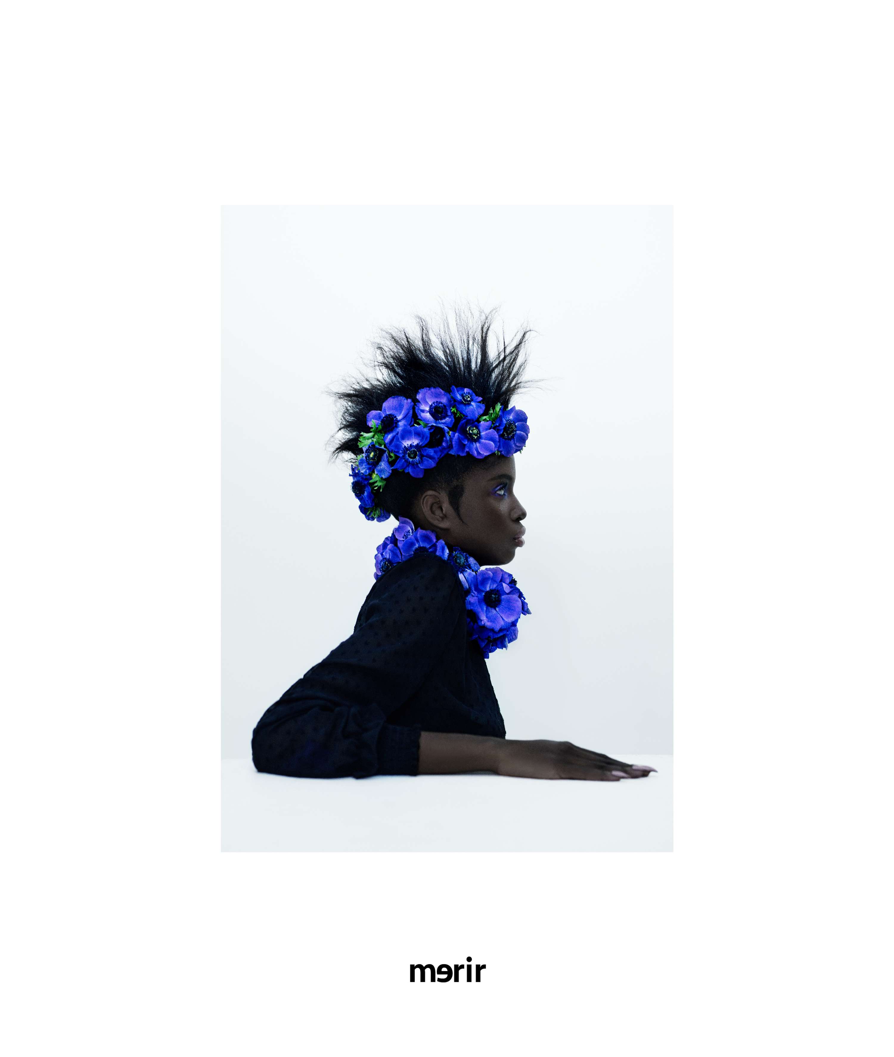 Inverted bloom for merir online by Michael Stuart-Daley