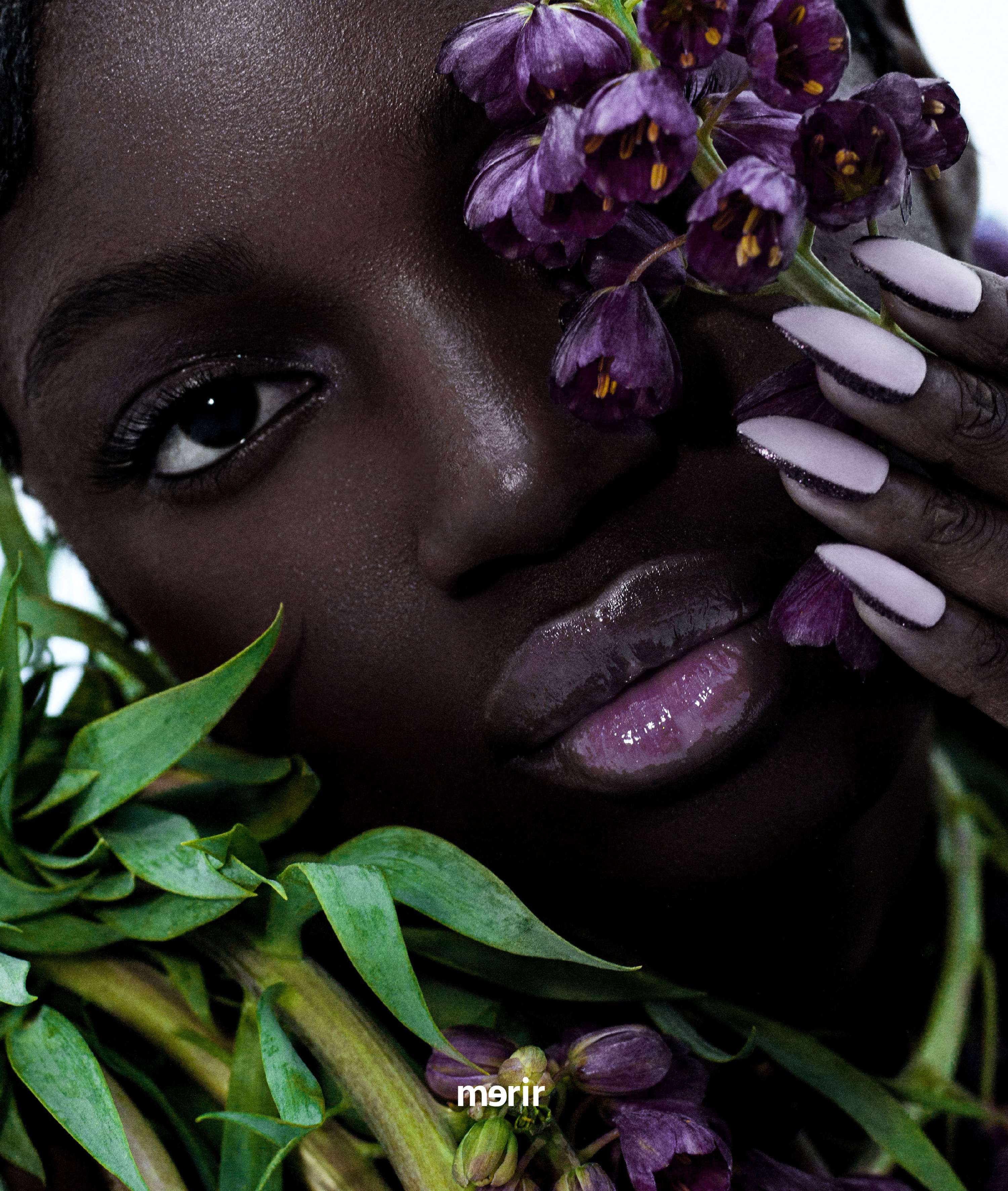 Inverted bloom for merir online by Michael Stuart-Daley