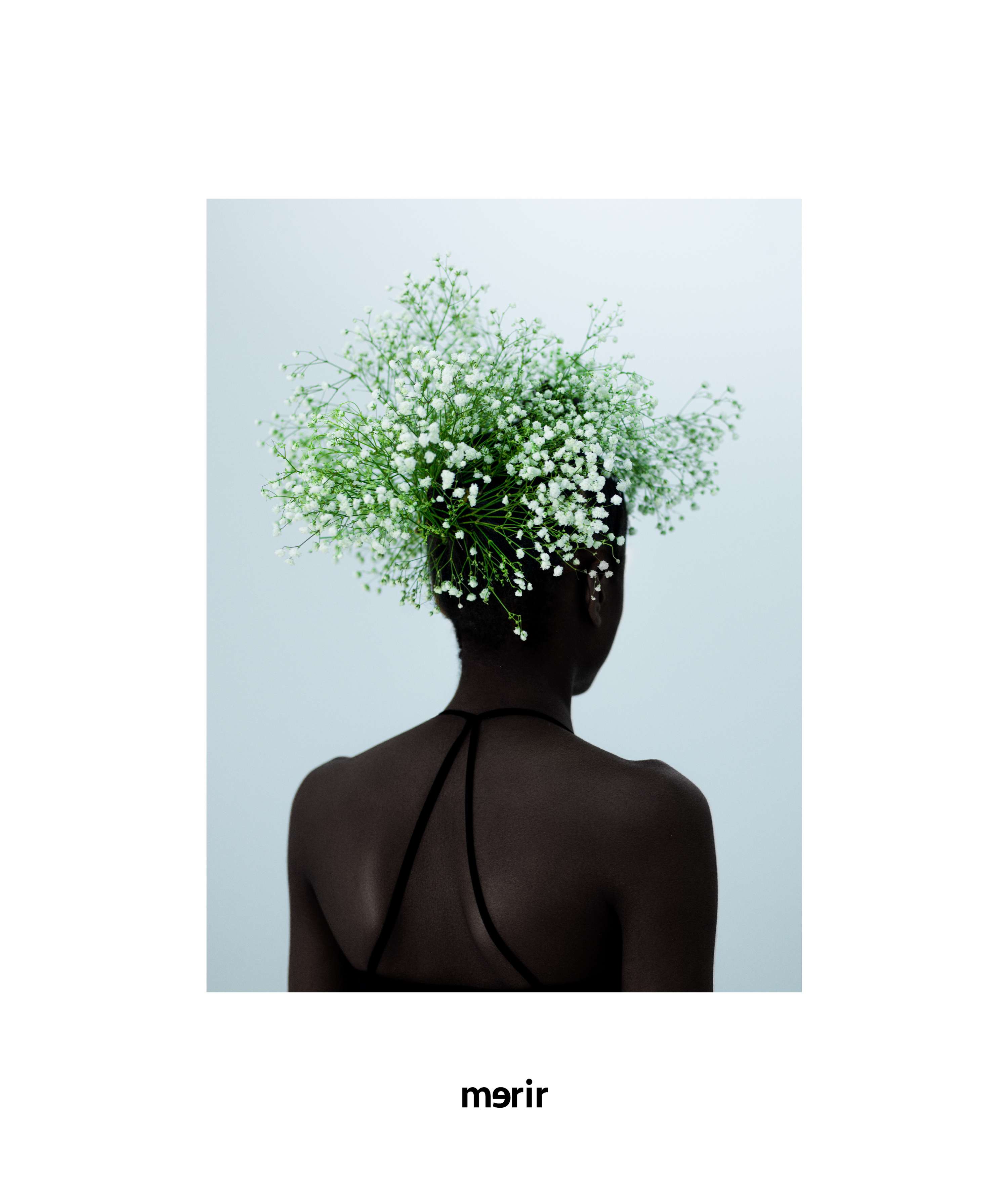 Inverted bloom for merir online by Michael Stuart-Daley