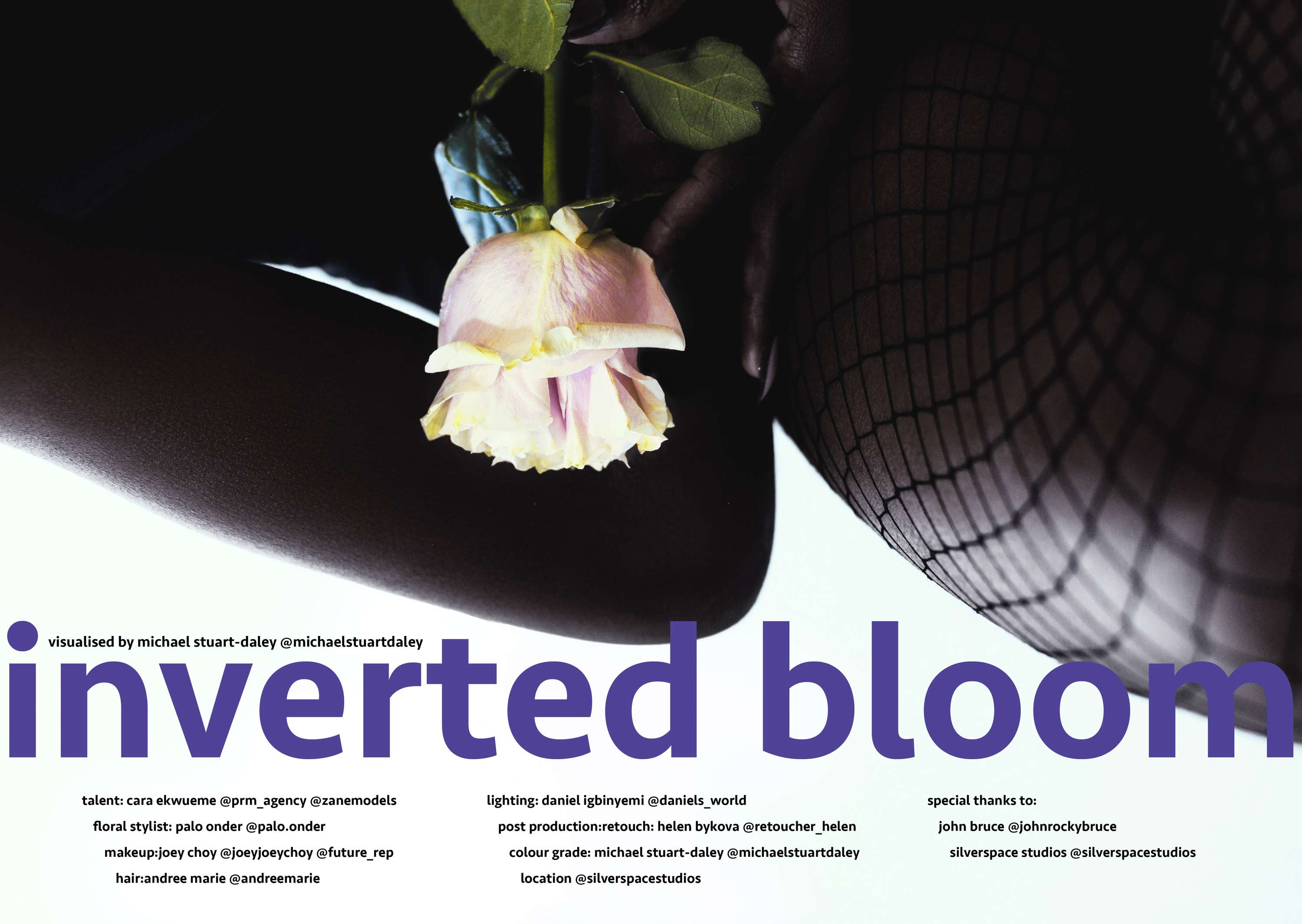 Inverted bloom for merir online by Michael Stuart-Daley