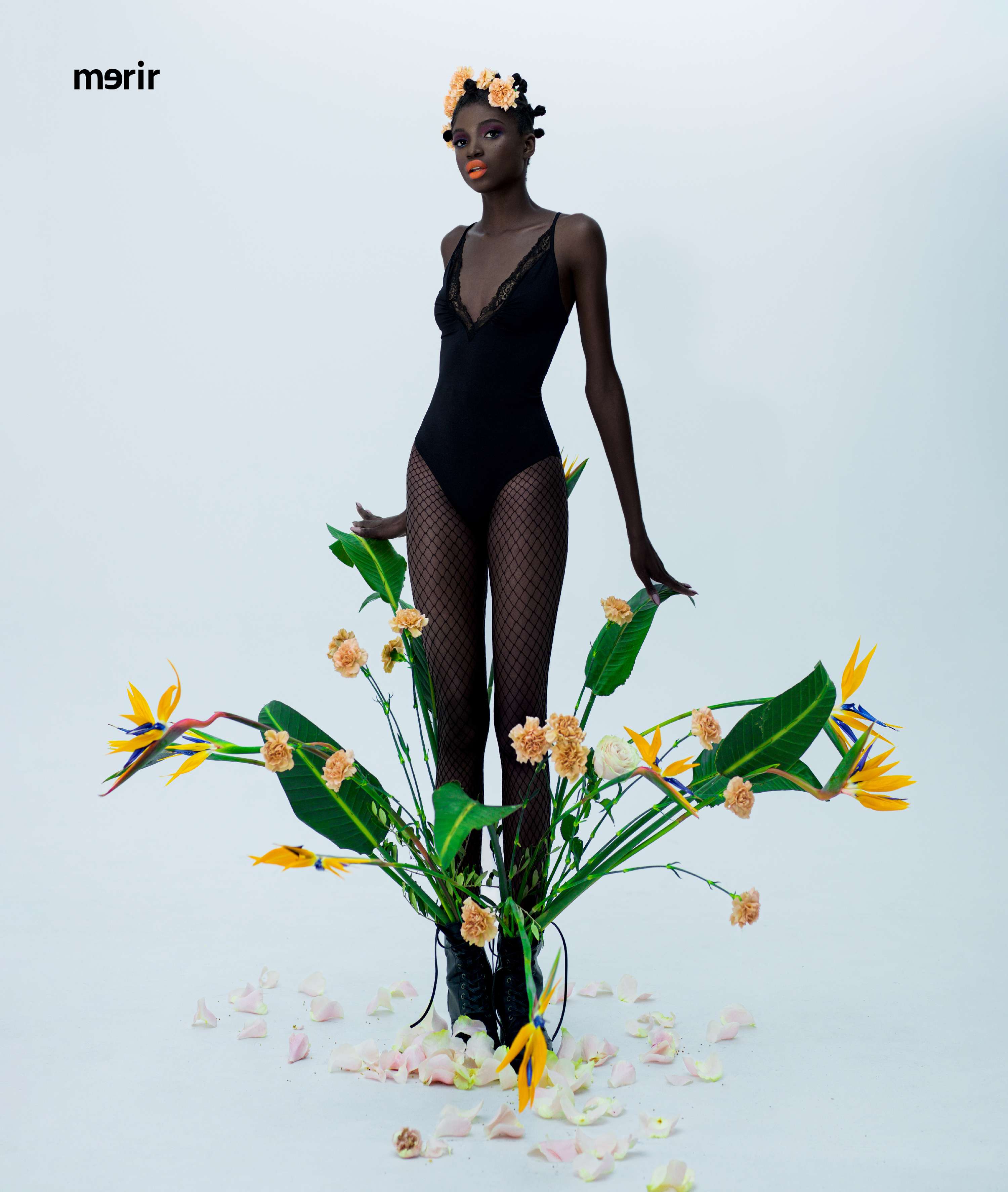 Inverted bloom for merir online by Michael Stuart-Daley