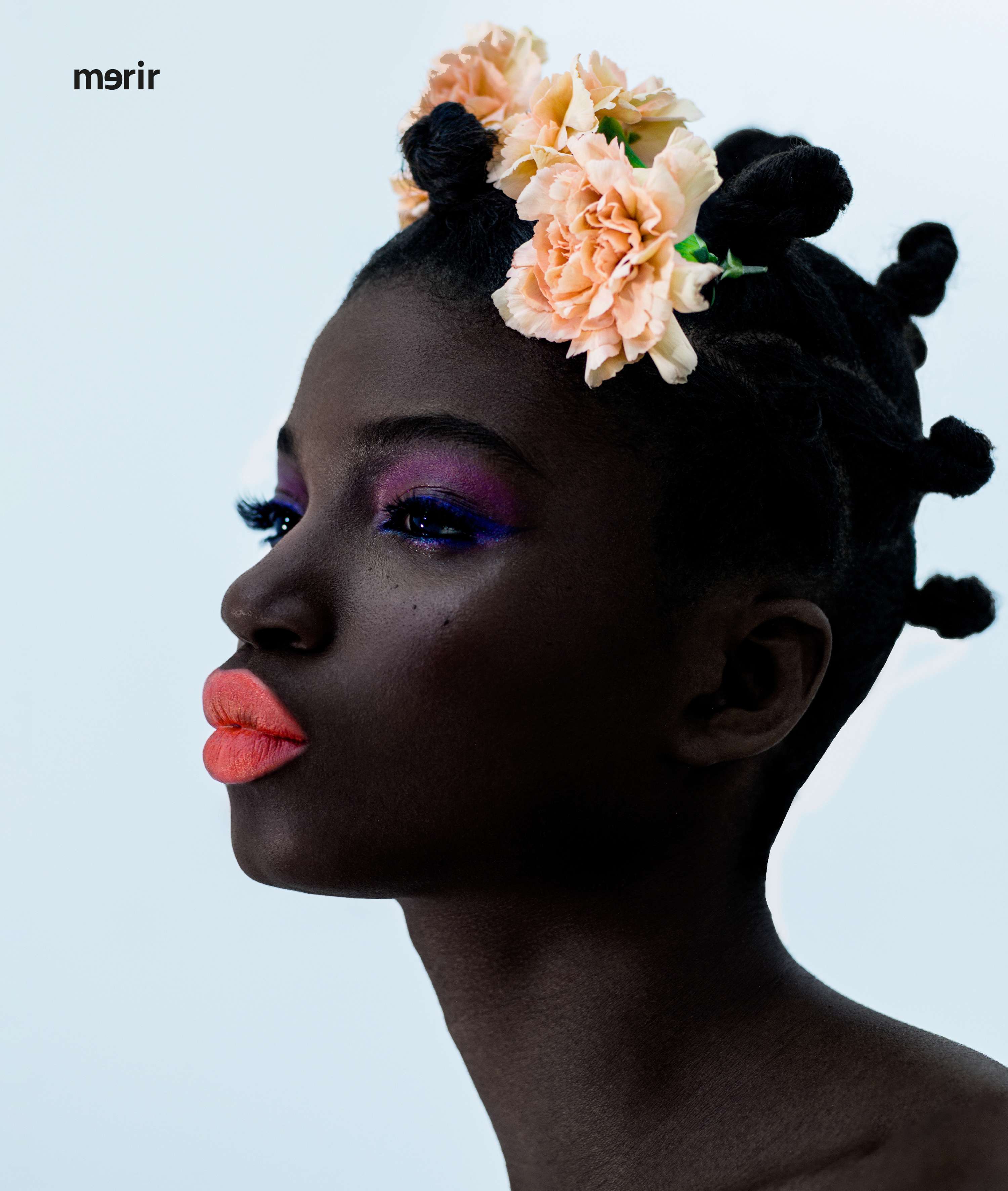 Inverted bloom for merir online by Michael Stuart-Daley