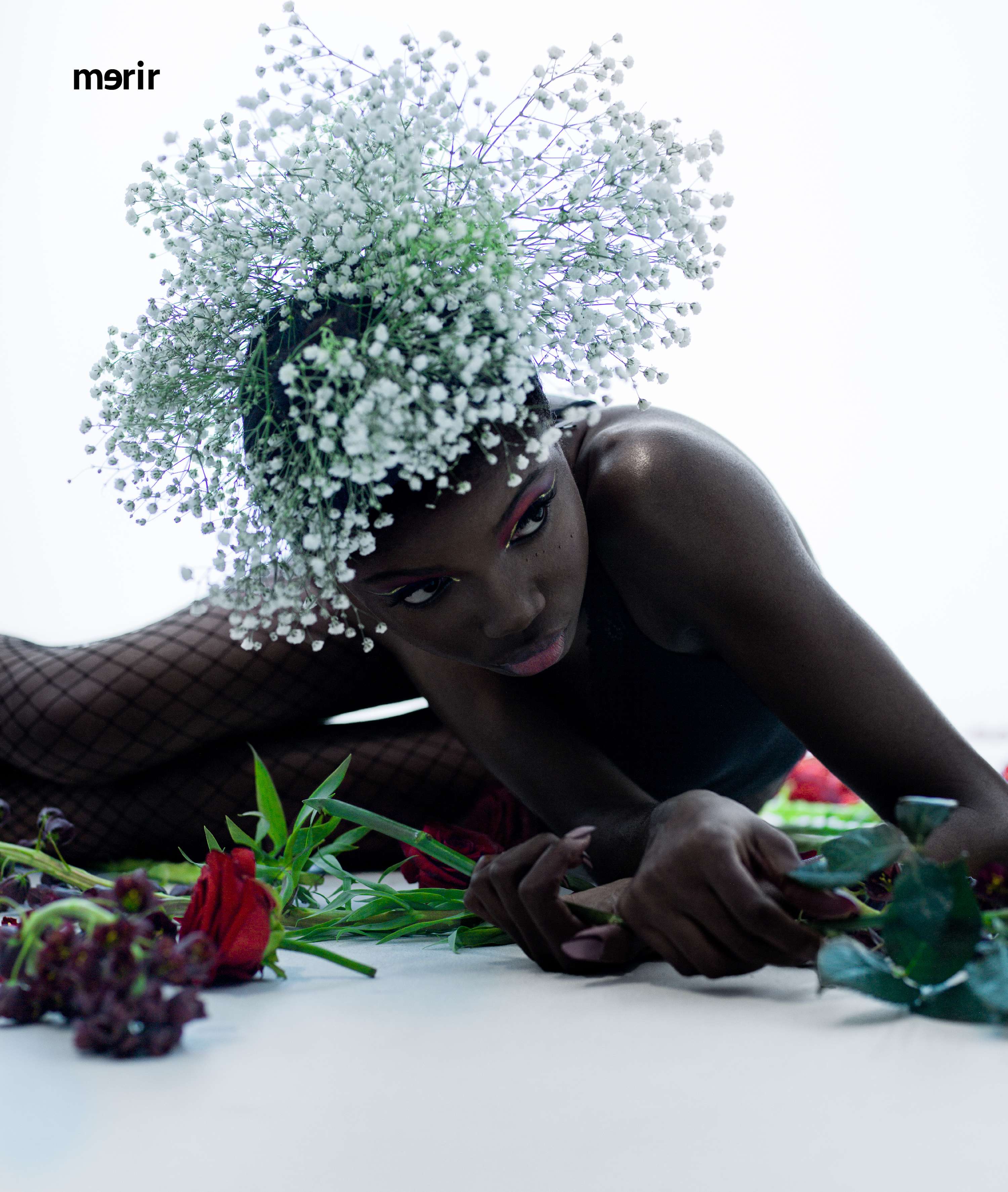 Inverted bloom for merir online by Michael Stuart-Daley