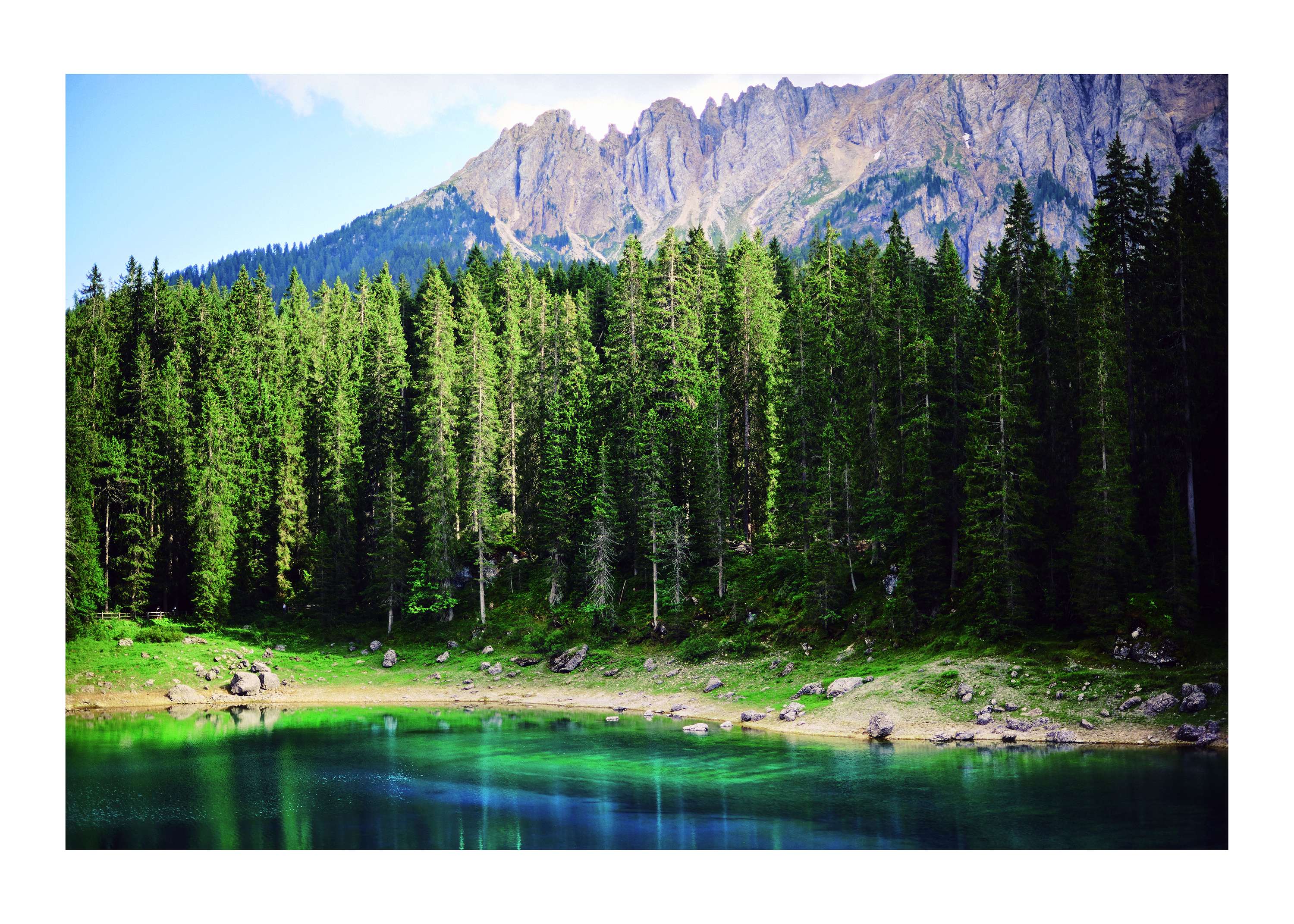 Limited Edition Print Release by David Andrews
