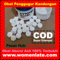 Obat Menggugurkan Kandungan 4 Bulan logo