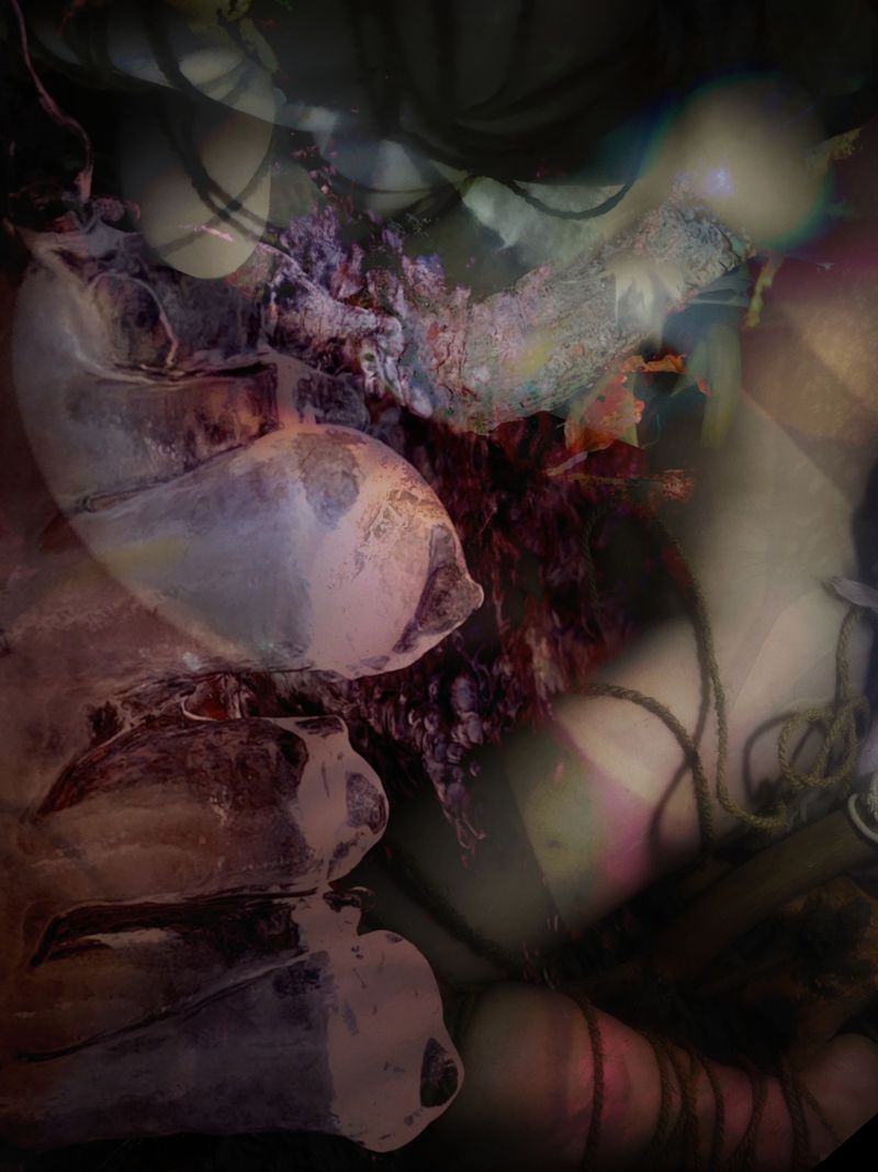 My first Patreon post by Alice Hutt