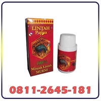 Toko Jual 0812-292-3334 Minyak Lintah Papua Di Makassar | COD logo