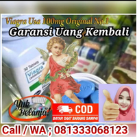 Toko Agen Obat Viagra Asli COD Banjarmasin 081333068123 Alamat Jual Viagra Asli Di Banjarmasin logo