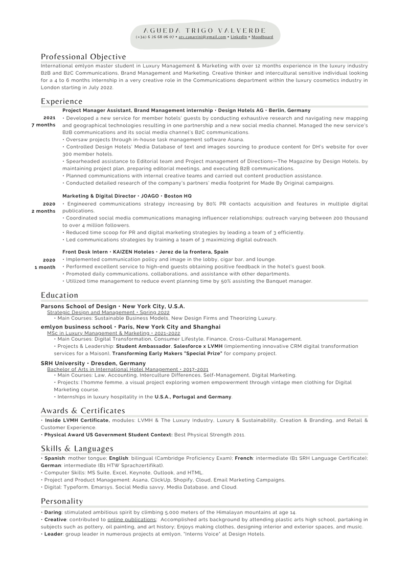 Looking for feedback and advice on my CV - Luxury MSc student