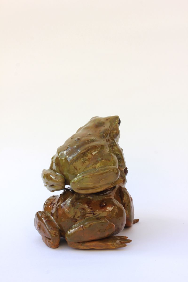 The Toad's that stole Thumbellina by Hope Hanni Eva