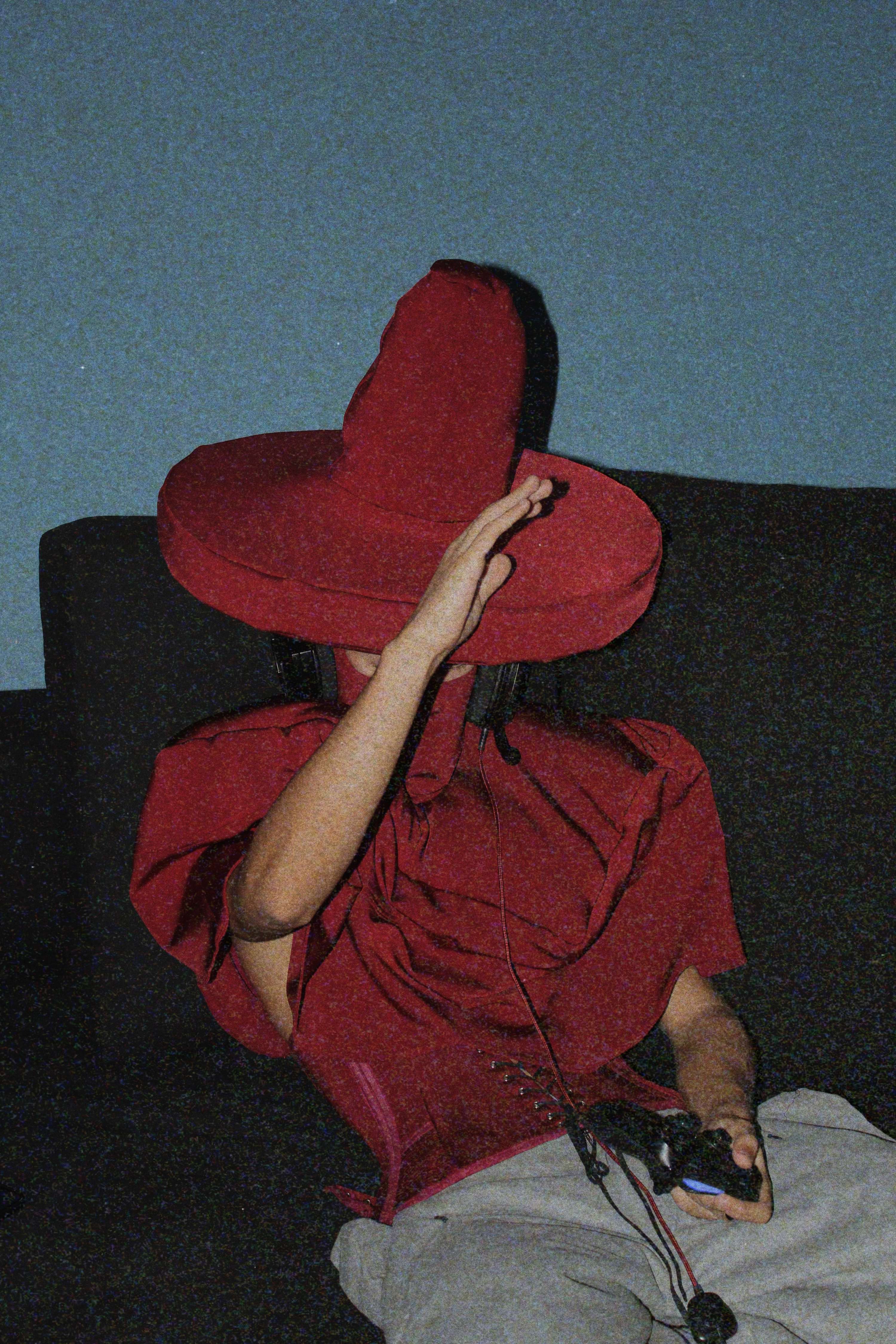 overstated by Daniela Araujo